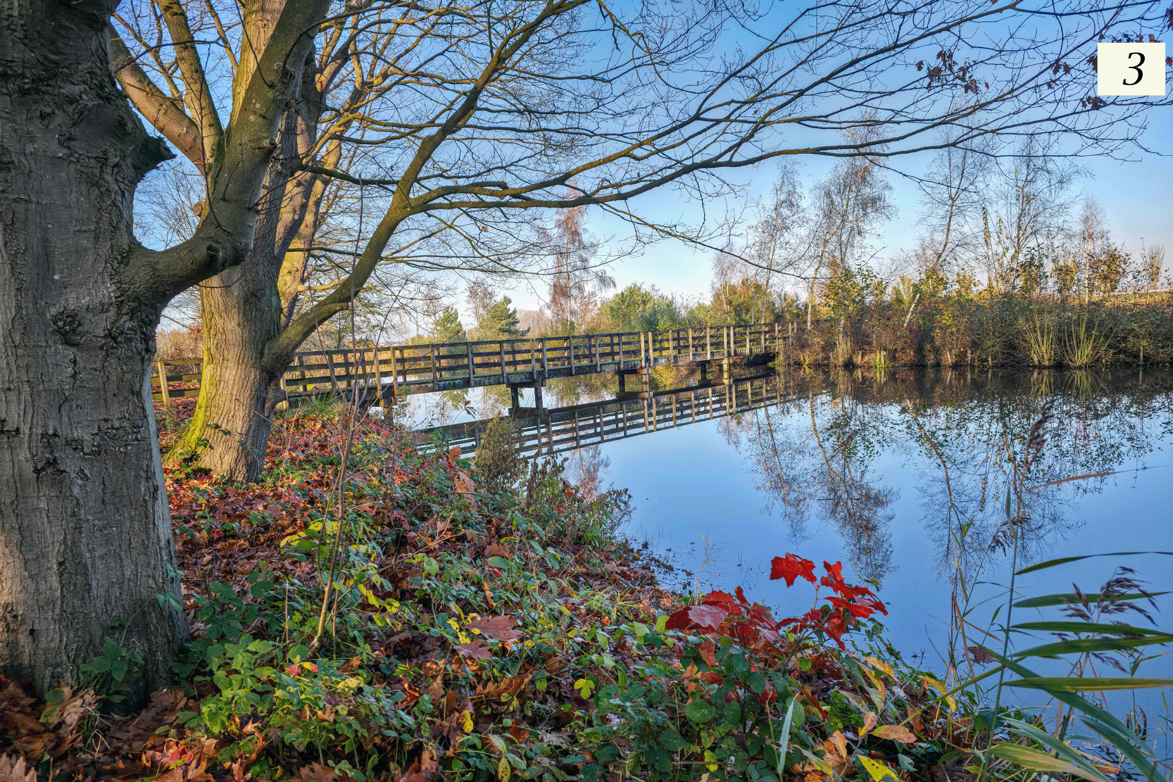 foto 3 Fort de Roovere  kopie 2.gif