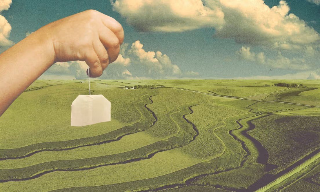 A hand dips a teabag into a landscape of green hills.