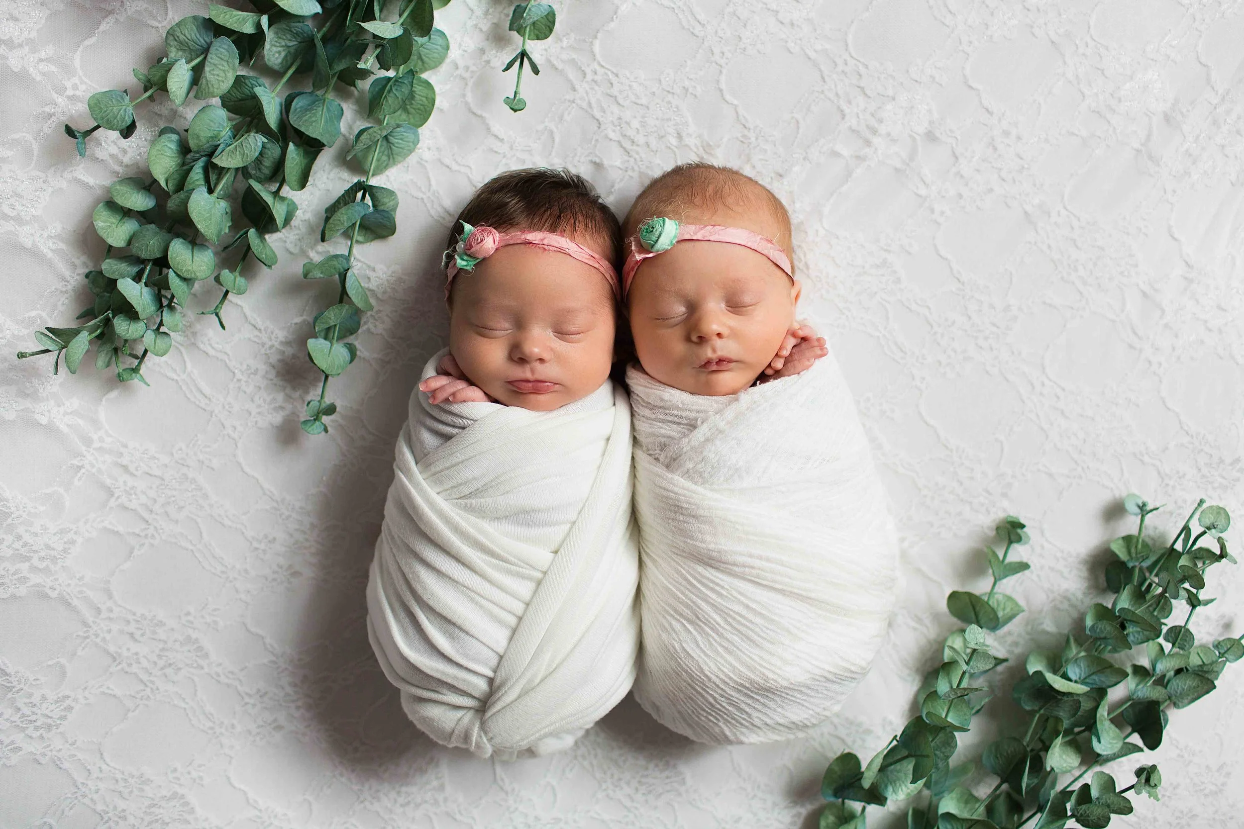 Truly You Photography Oklahoma Newborn twin girls bundled with branches on white backdrop