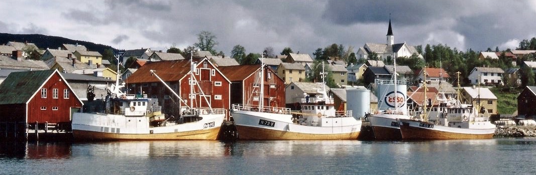Hemnesberget 1984