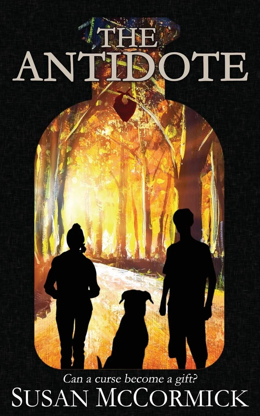 Review: The Antidote by Susan McCormick