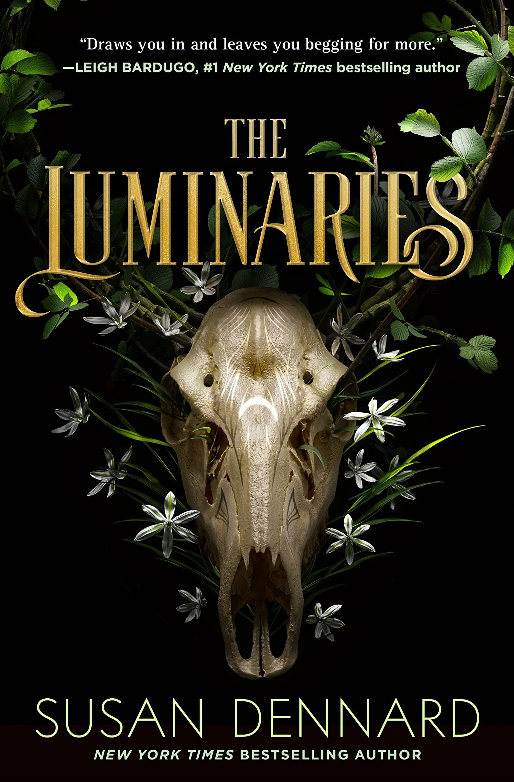Review: The Luminaries by Susan Dennard