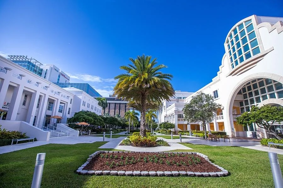 Sylvester Comprehensive Cancer Center