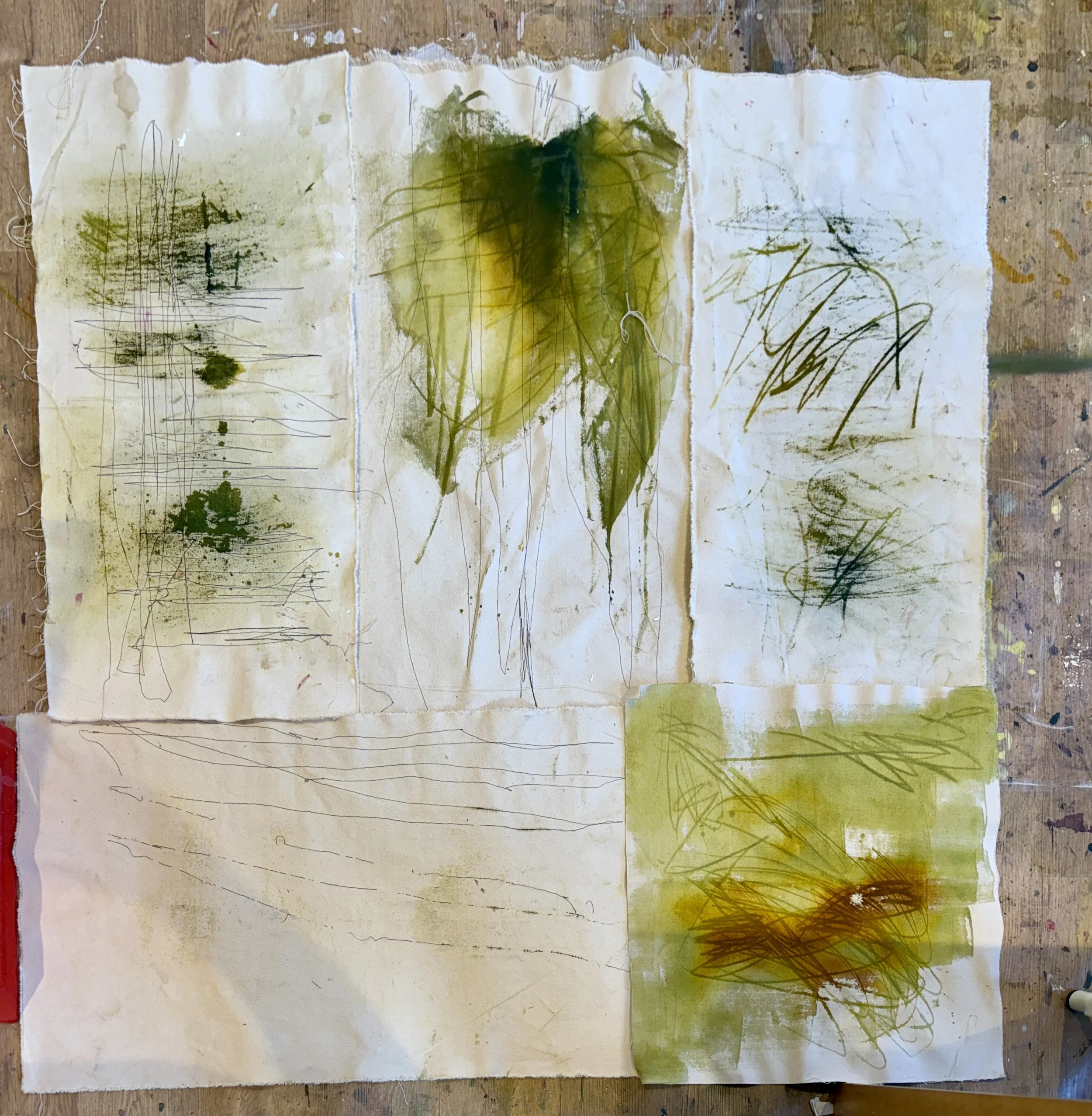 Studio Progress May-June 2025