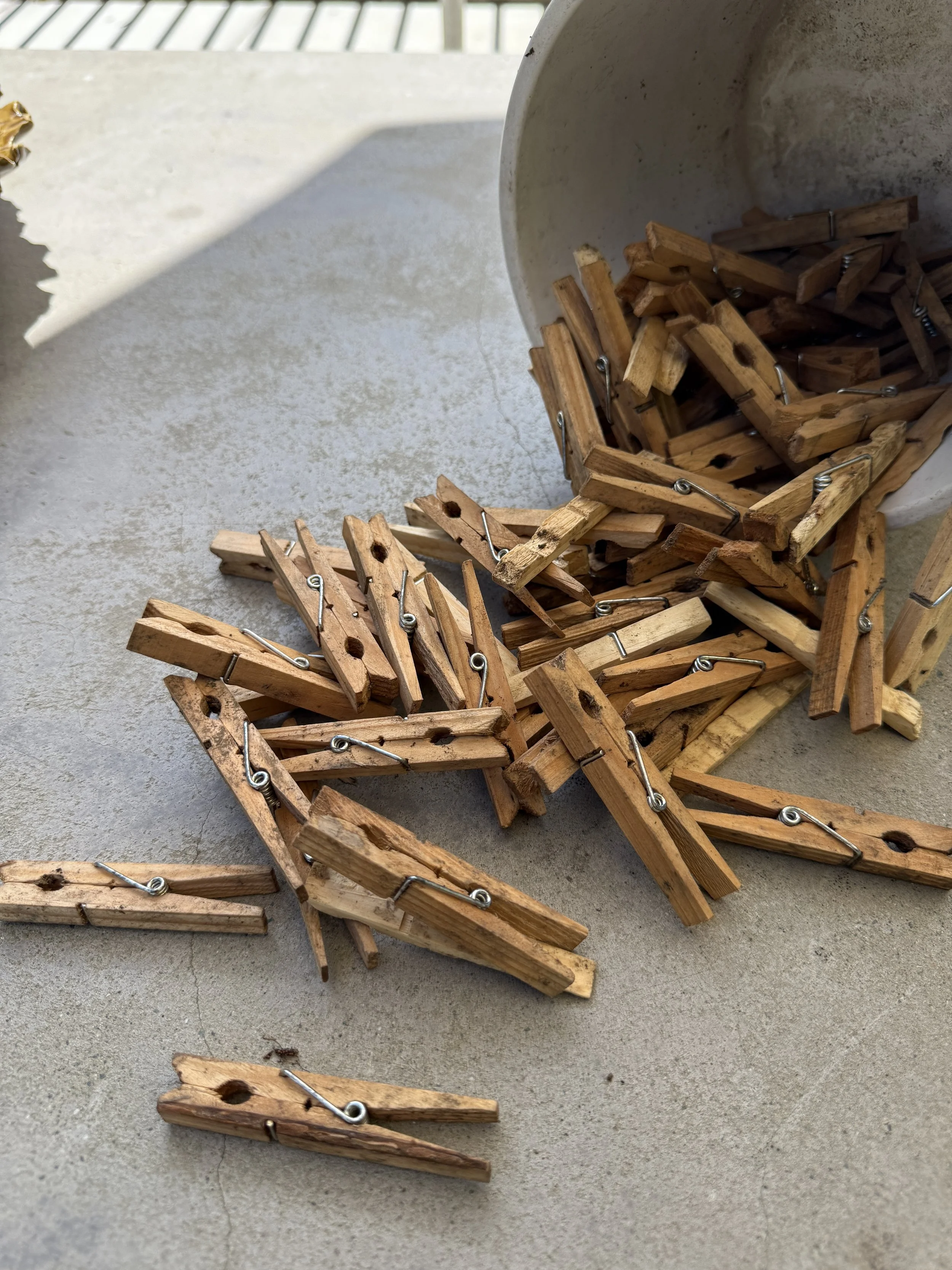 Dried and successfully weathered