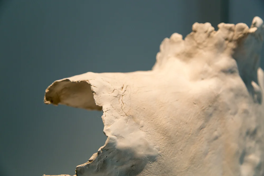 detail with hair
