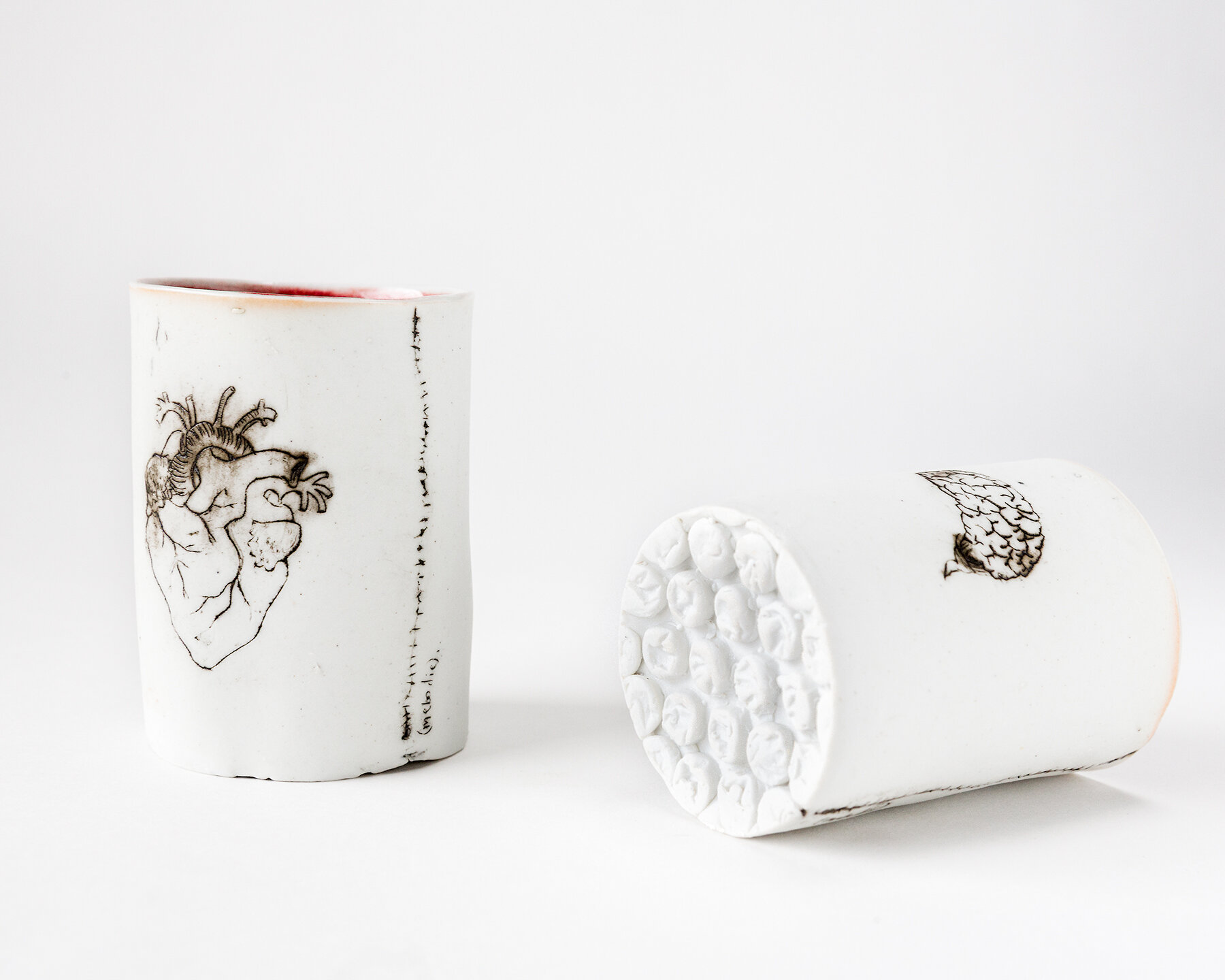 Fragile Heart and Brain Cups