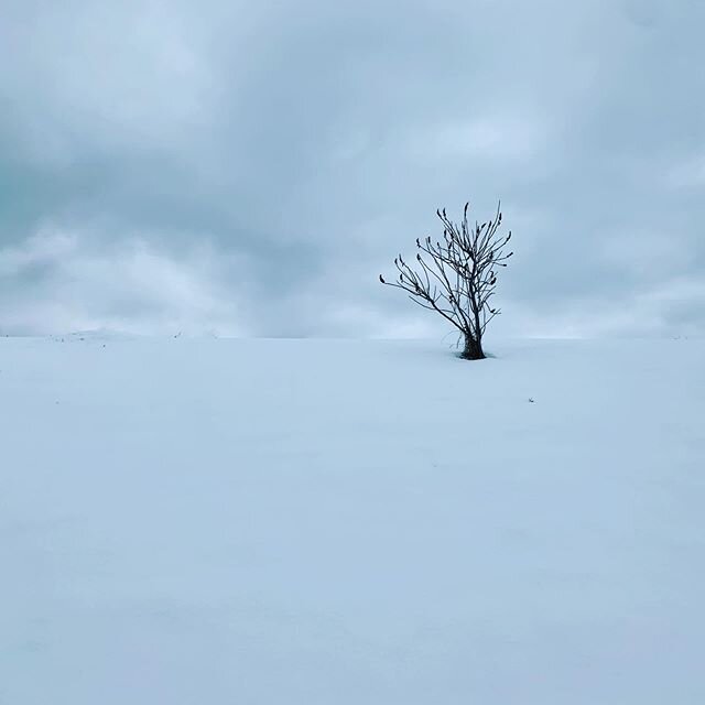 In my self,
Lost,
Here &amp; there,
Yet no-where.

Perpetually in-between,
Home everywhere,
Yet no-where.

In-transit, 
In middle places, 
In liminality; 
Inhabiting disparate worlds.

I am here &amp; there,
In my here-ness &amp; 
in my there-ness,
I