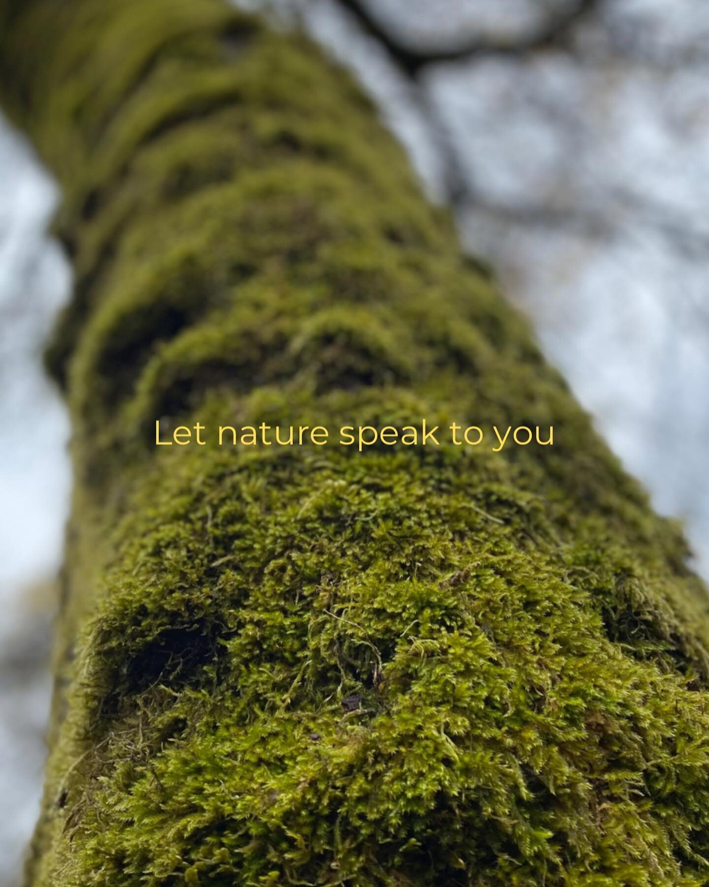 Let nature speak to you #sinkdeeperintoyourself