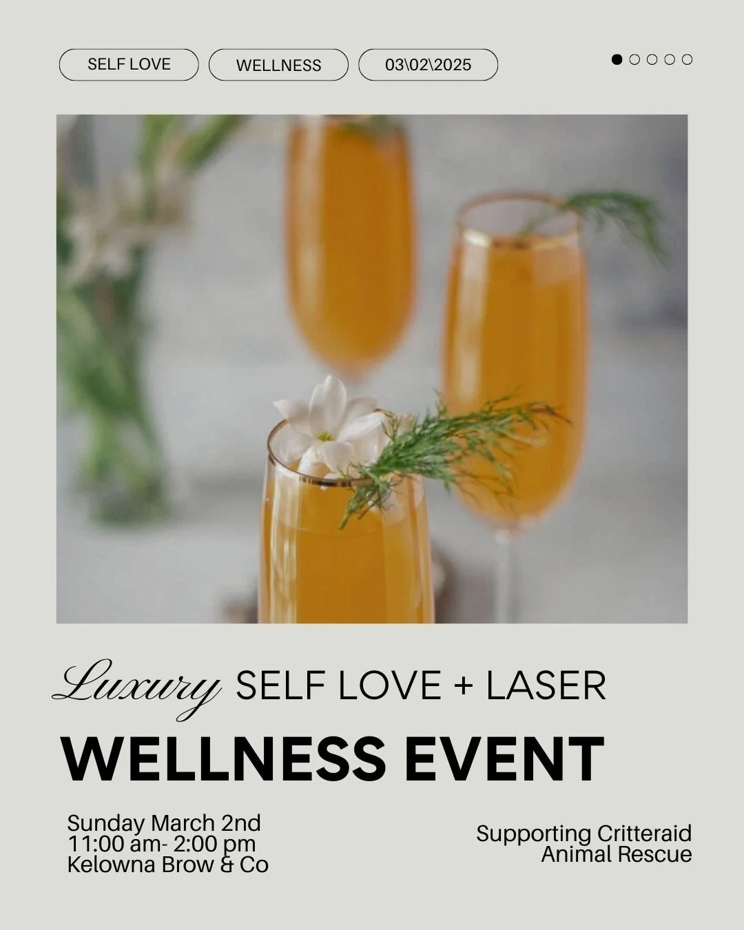 Luxury Self Love + Laser Event