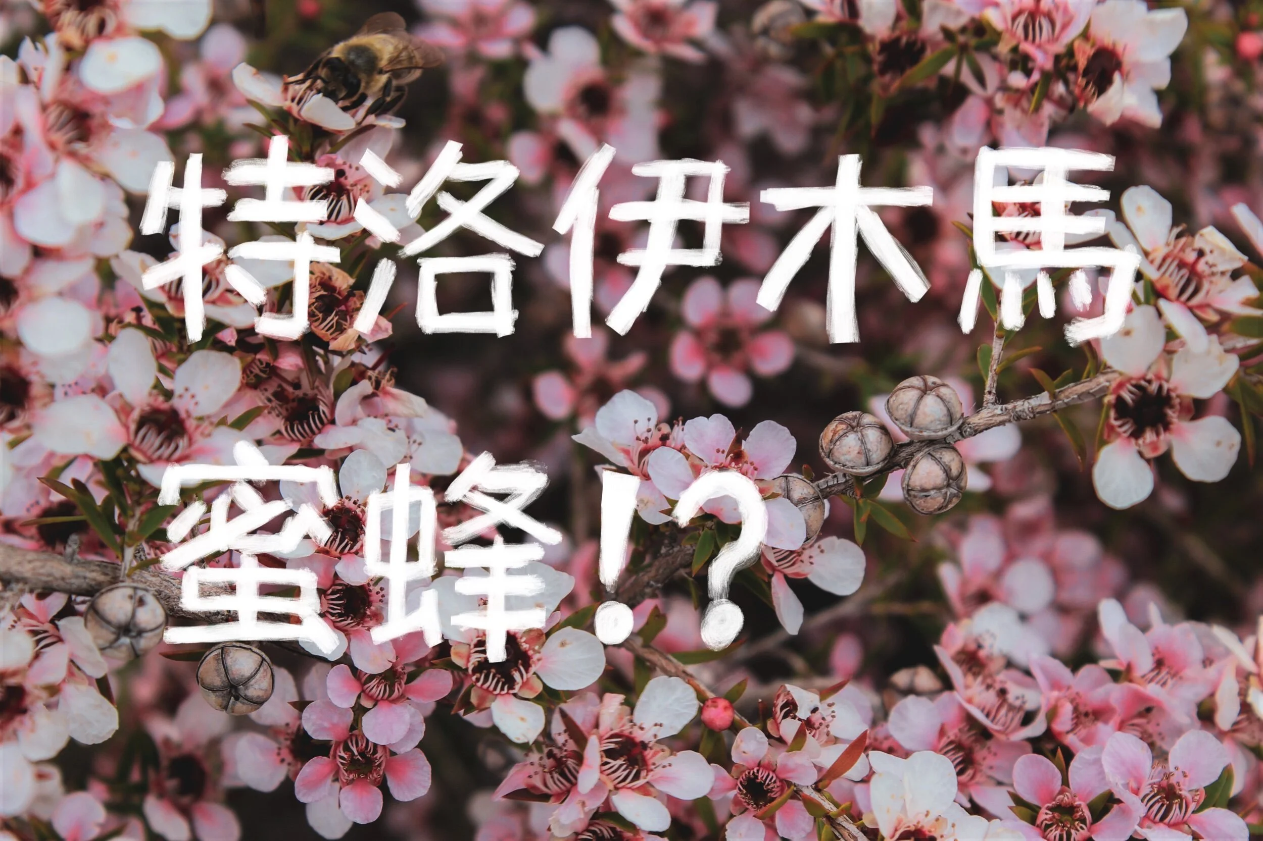 蜜蜂也要保持社交距離?!病毒與宿主的軍備競賽!