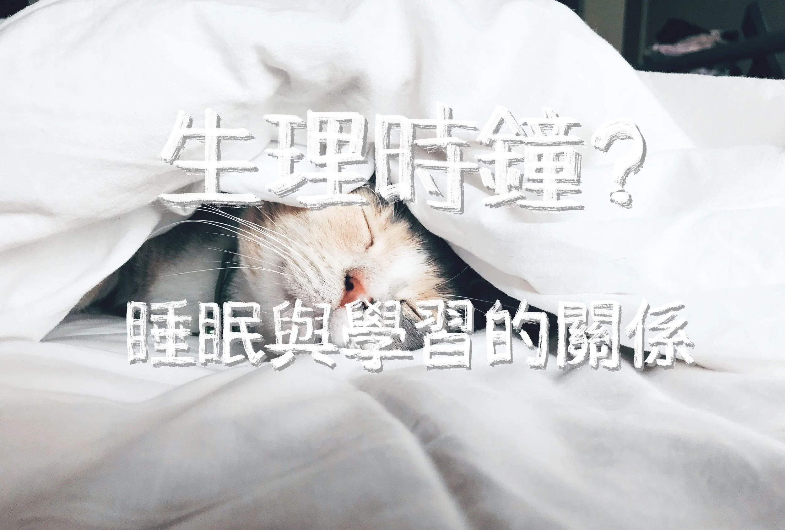 睡前那些小事|增加學習效率 x 6個今天可以開始的睡前習慣