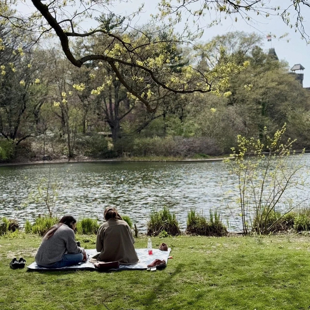 03-social Large.jpeg