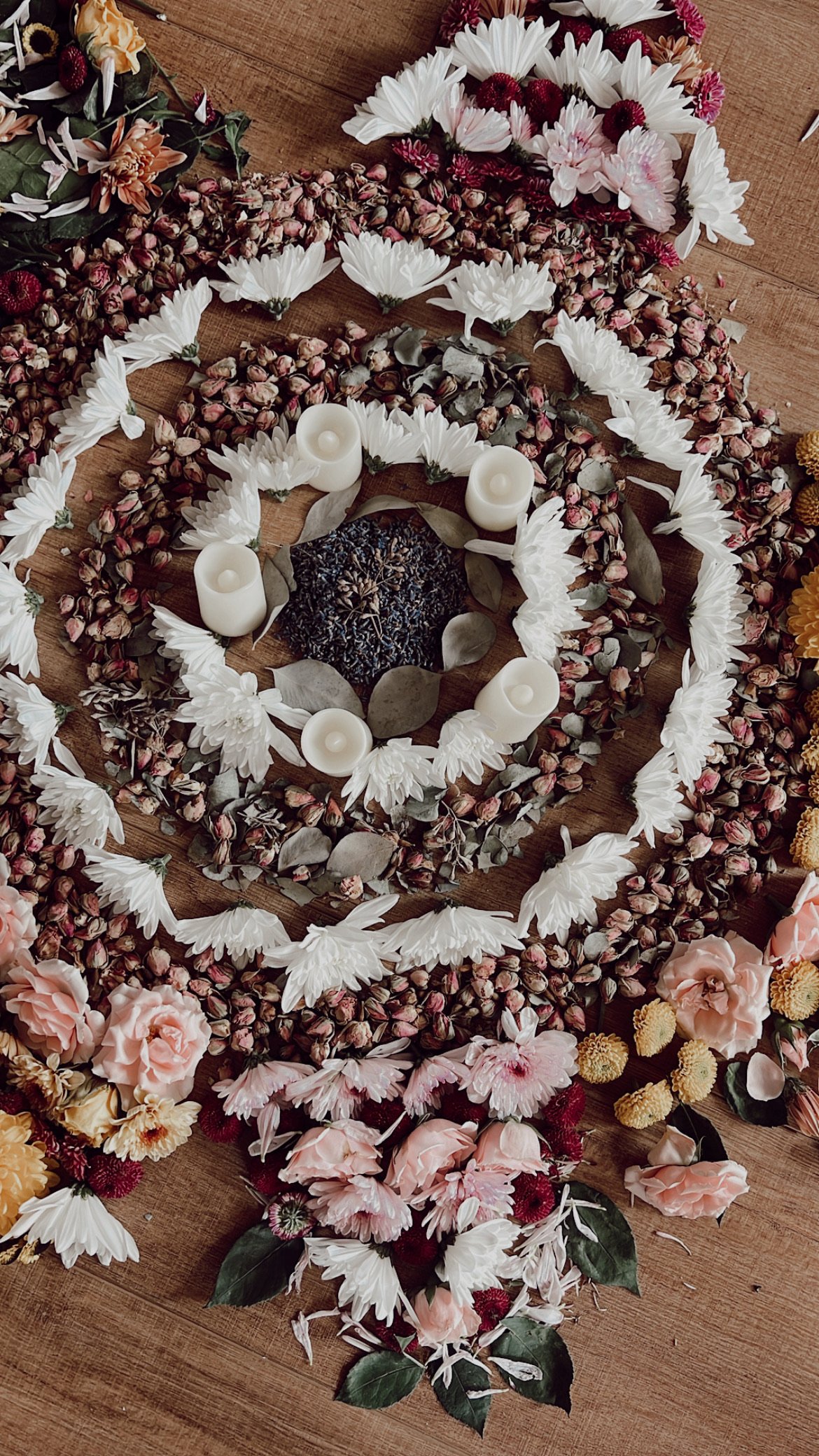 Meditation Circle -July 28th