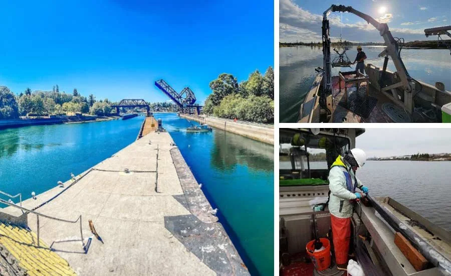 Sediment Sampling and Analysis in Northwest States MATOC — EcoAnalysts ...