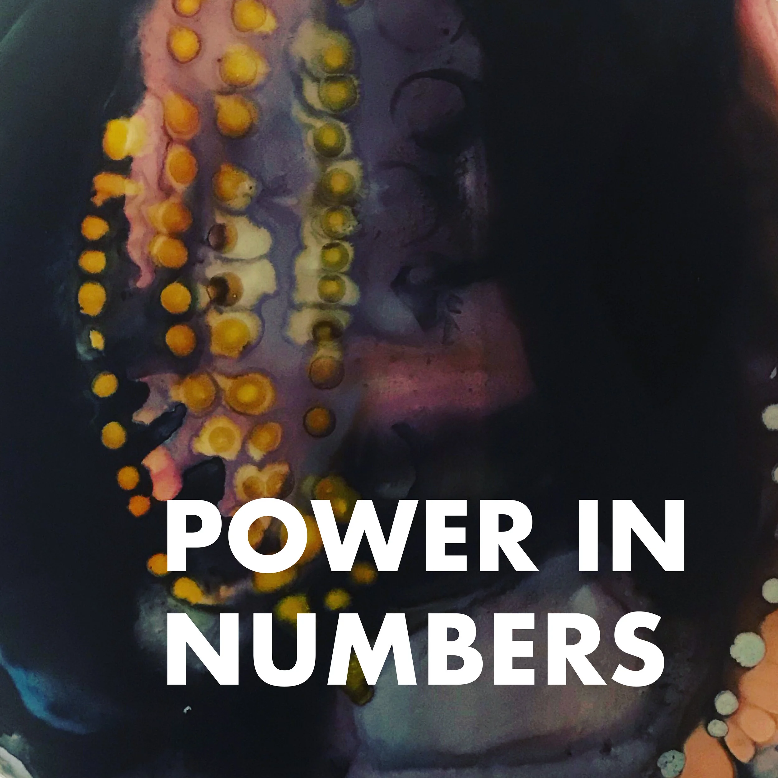 Episode 8: Power in Numbers