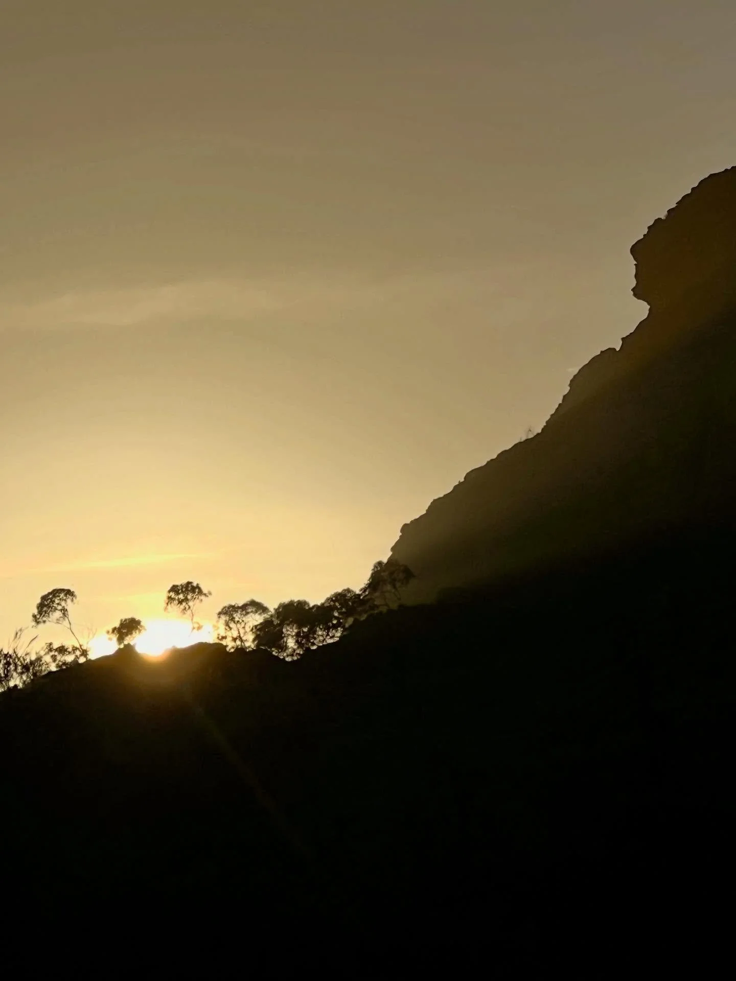 Currents of inspiration&hellip;

How blessed we are to live in a place where we can choose where to place our attention.
And in doing so, we shape not only how we feel&mdash;calm or unsettled, open or contracted&mdash;
but also what we begin to co-cr