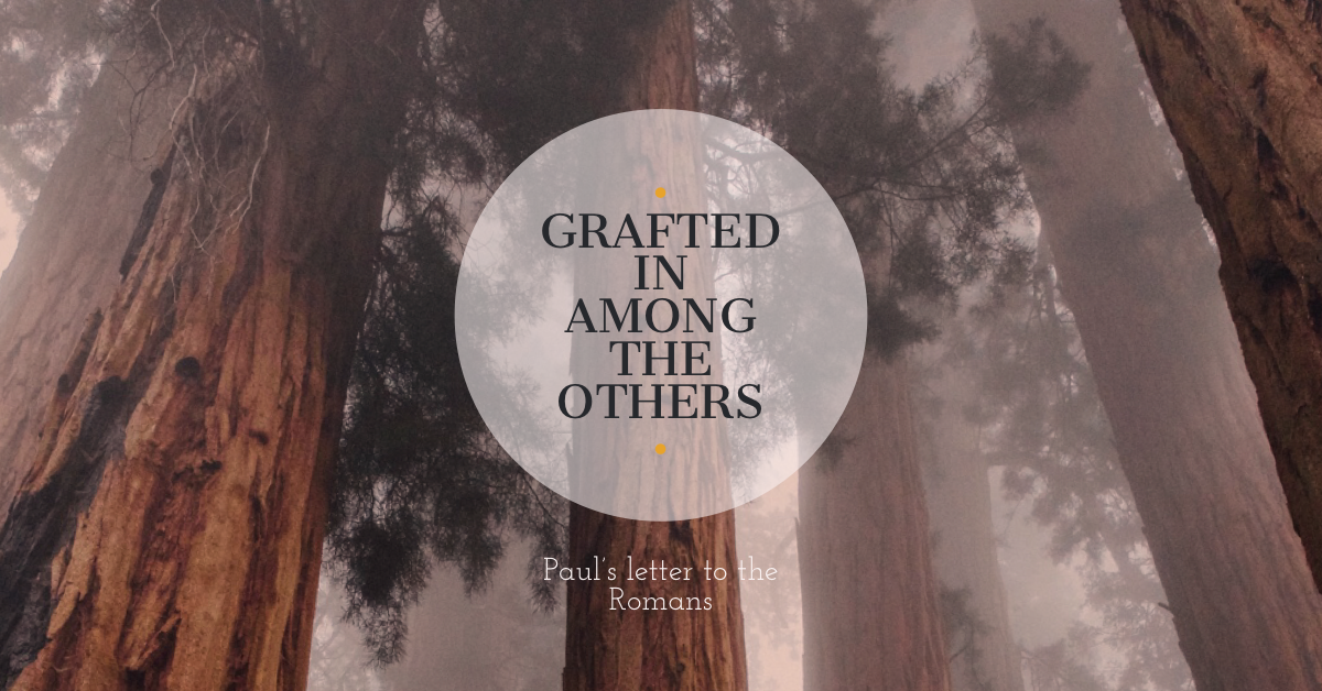 The Letter to the Romans