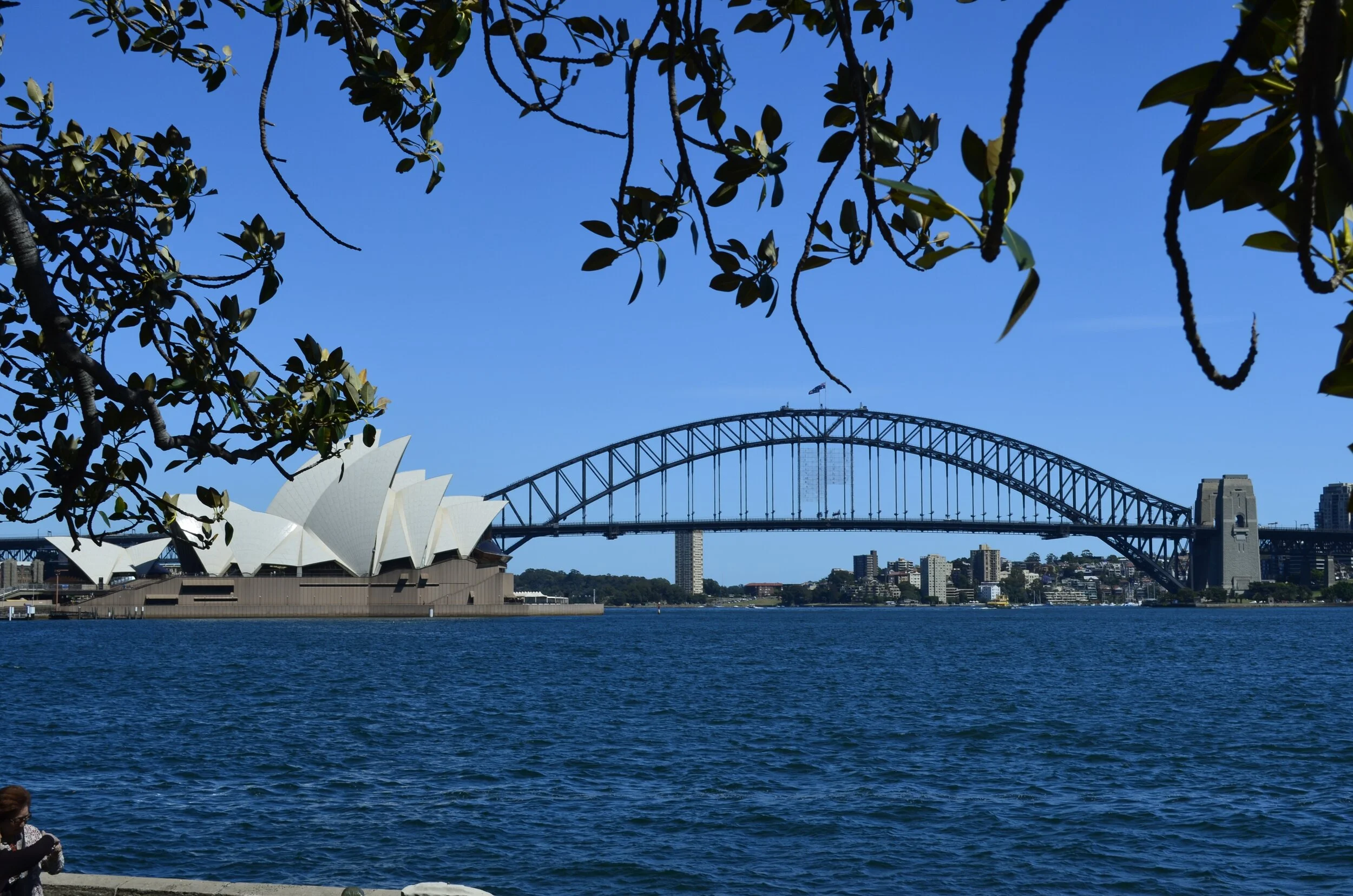Sydney- Roll Out The Barrel Down Under