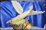thumbnail.large.3.1430772648.cockatoo.jpg