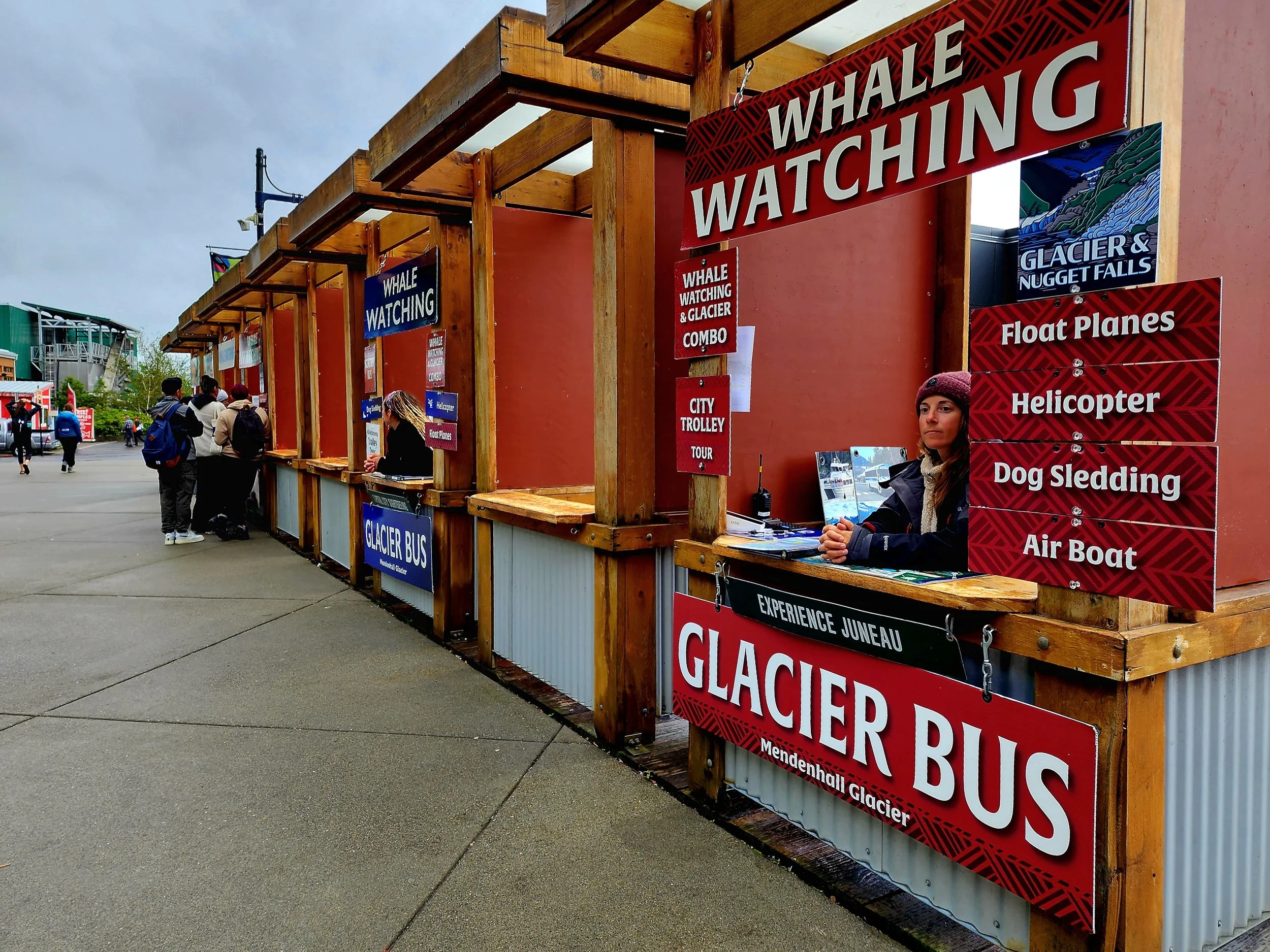 Whale-Watching Confusion! Here’s What You Need To Know !