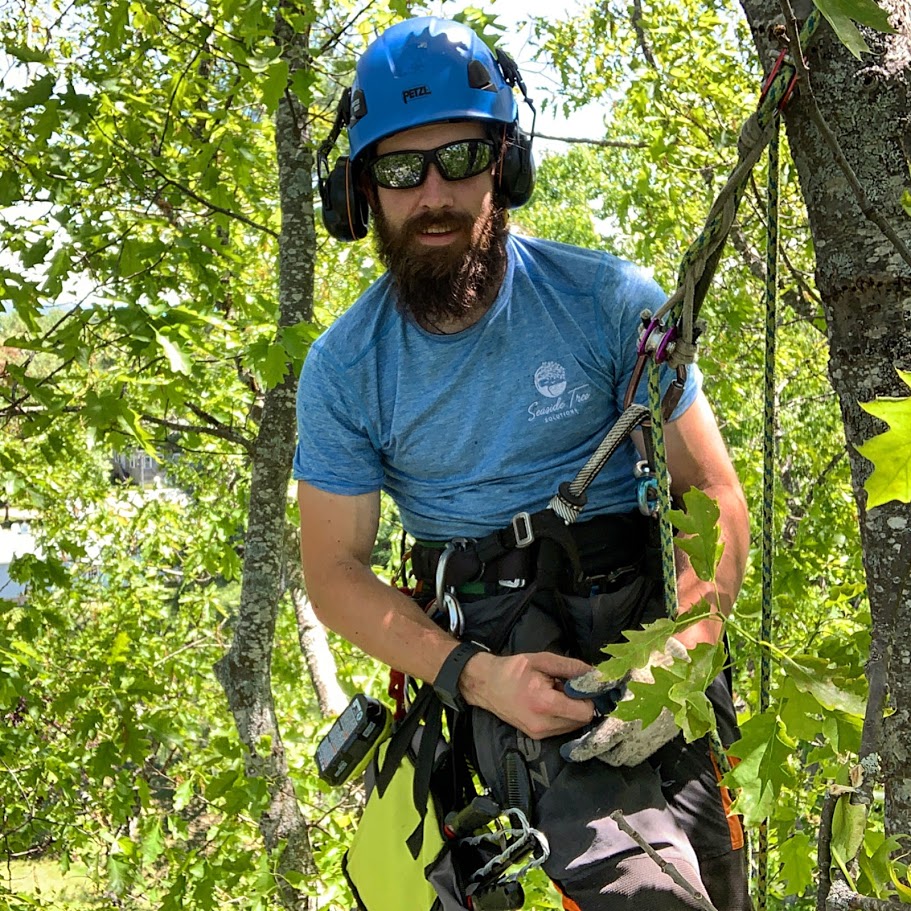 Pruning and installing a cable system in Wells, ME