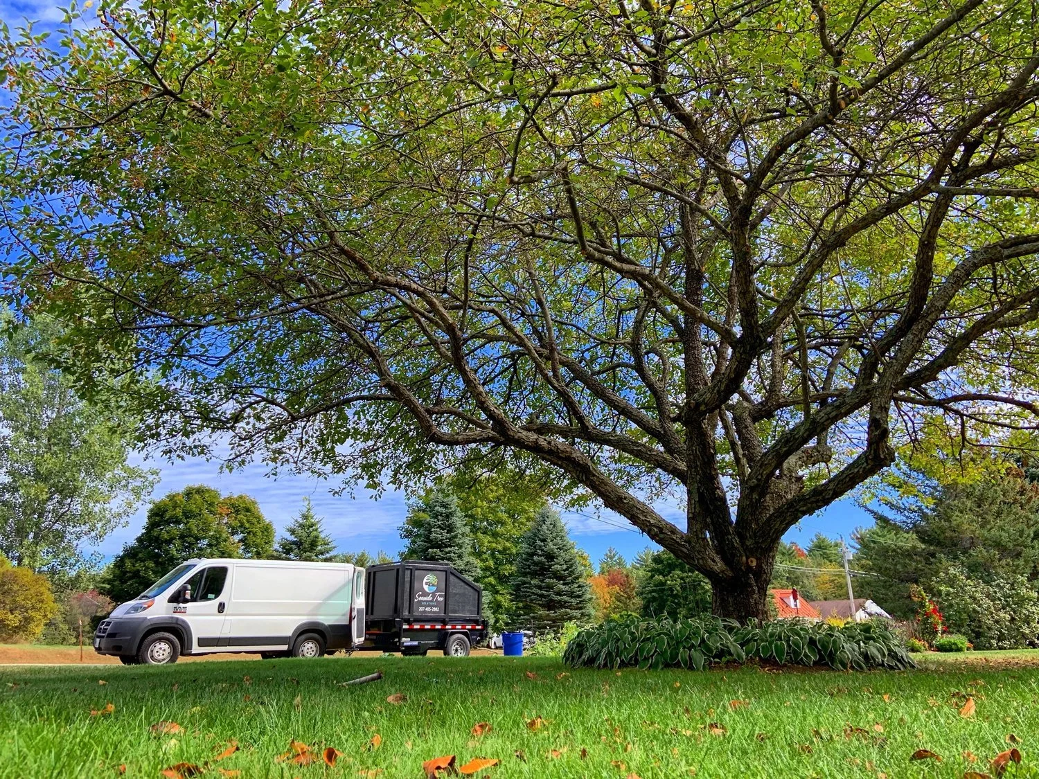 Preparing Your Trees For Winter