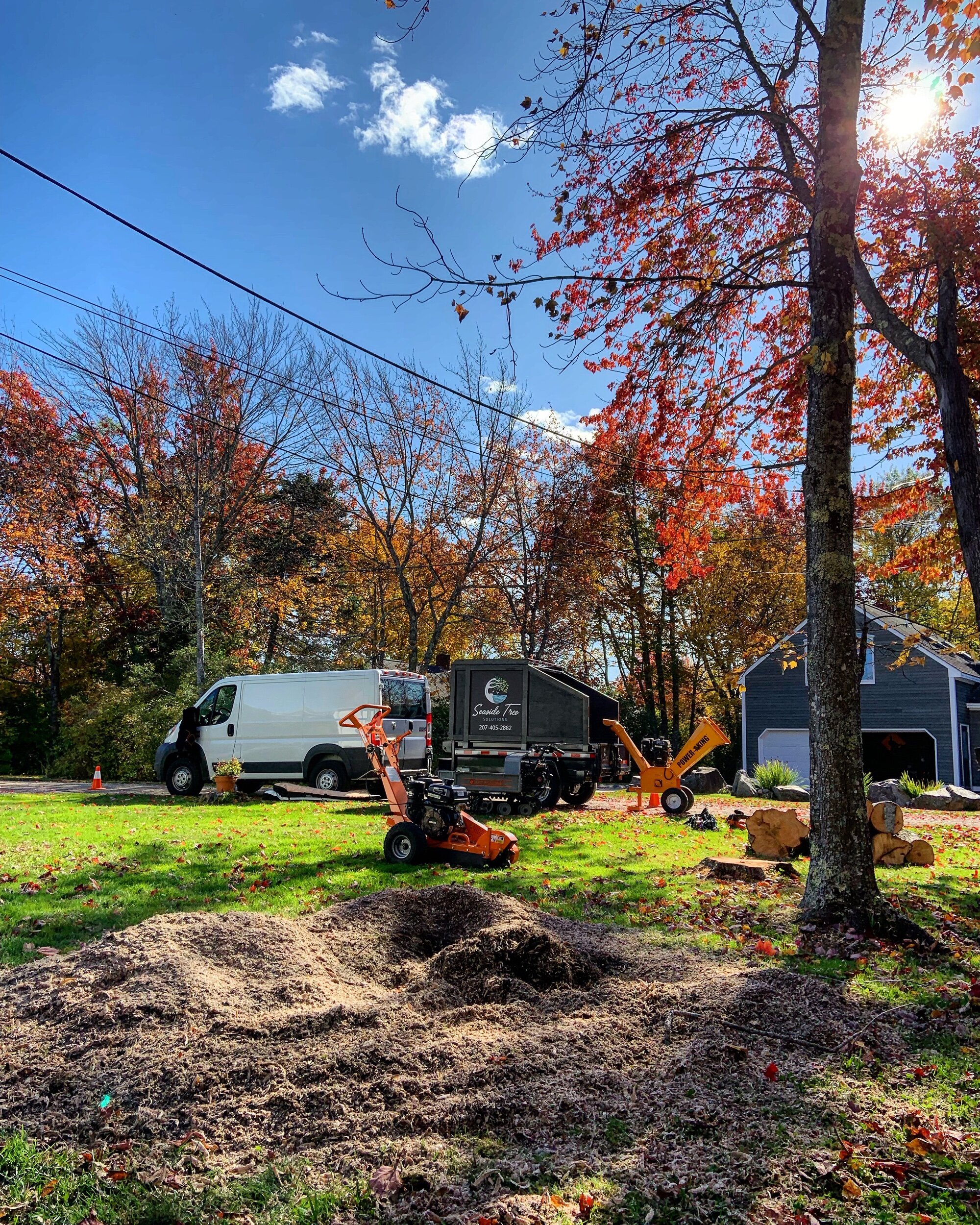 Tree removal and stump grinding. Drakes Island, Wells, ME.