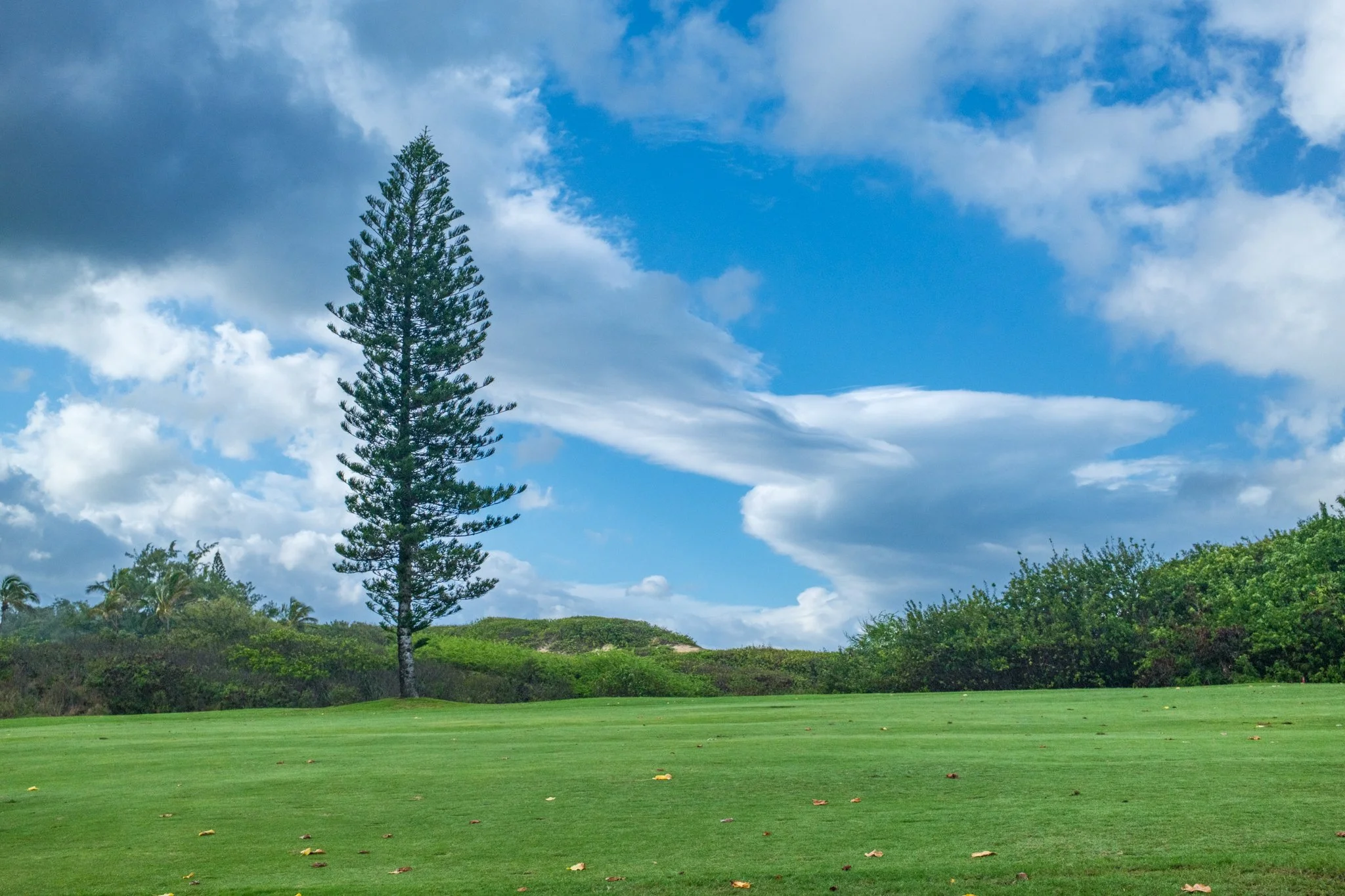 Watching the Weather in People