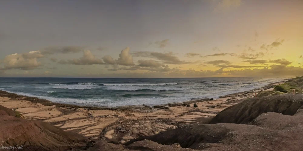 The Ancient Reefs of Kaʻena Point