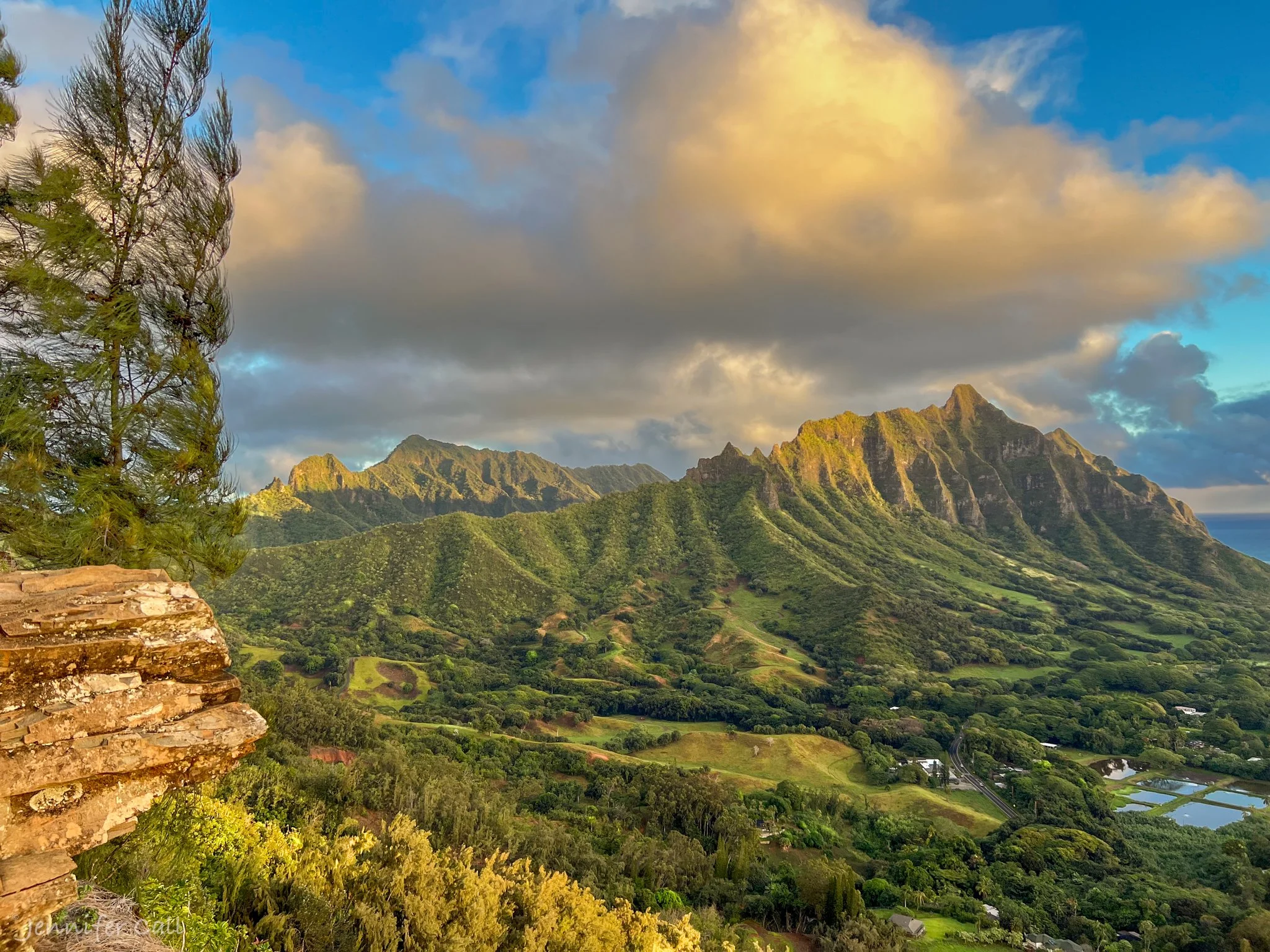 Sunrise Pride Rock-1.JPG