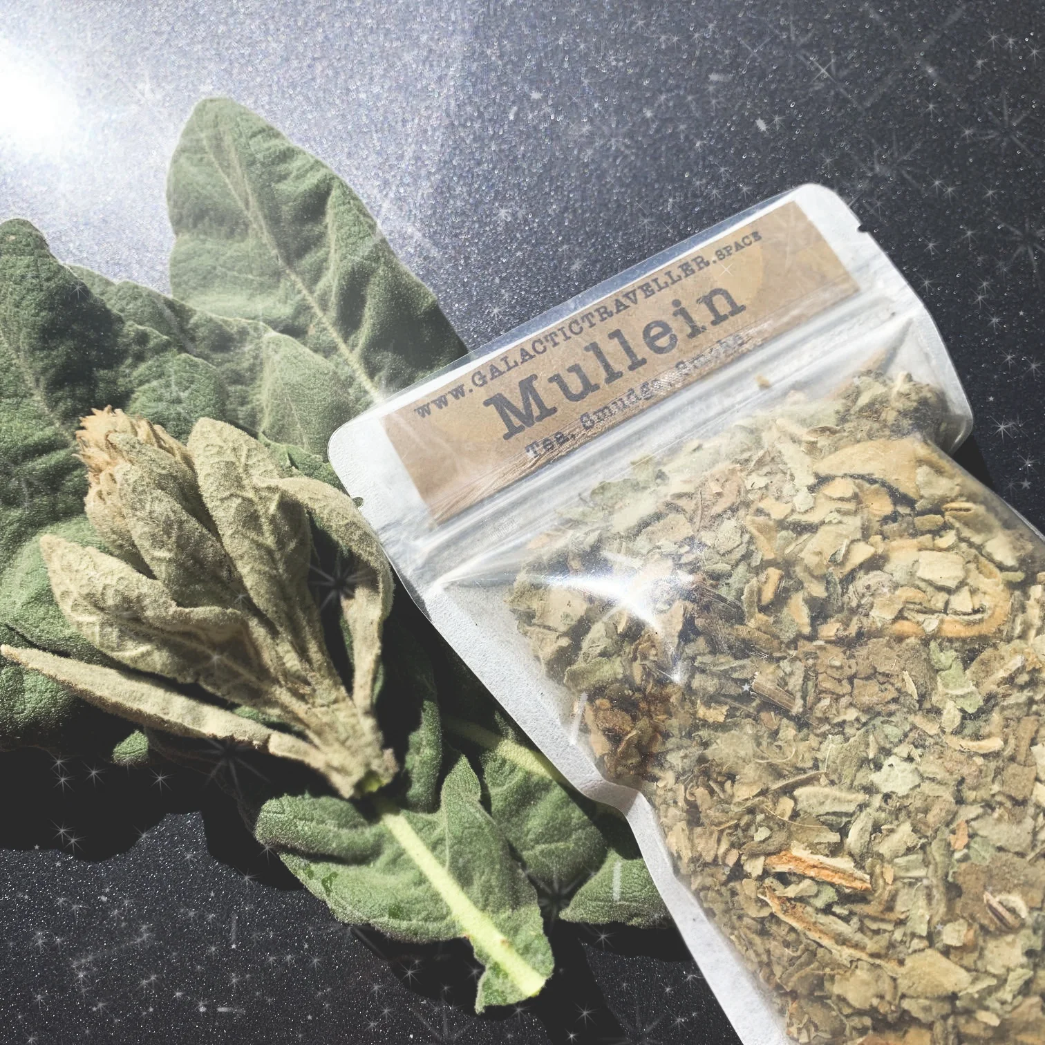 mullein_cosmos.jpg