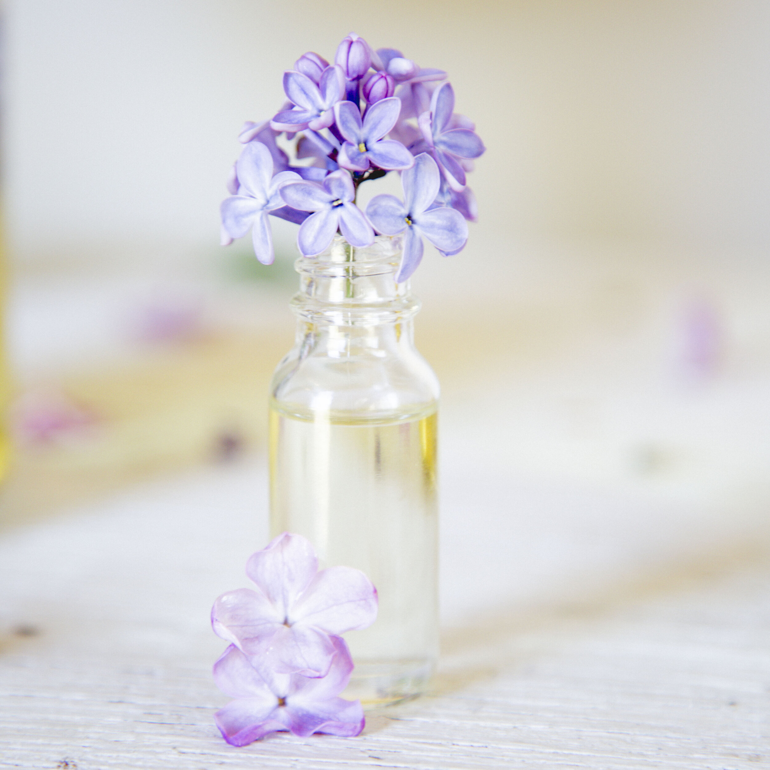 lilac_oil_781A7880 (2).jpg