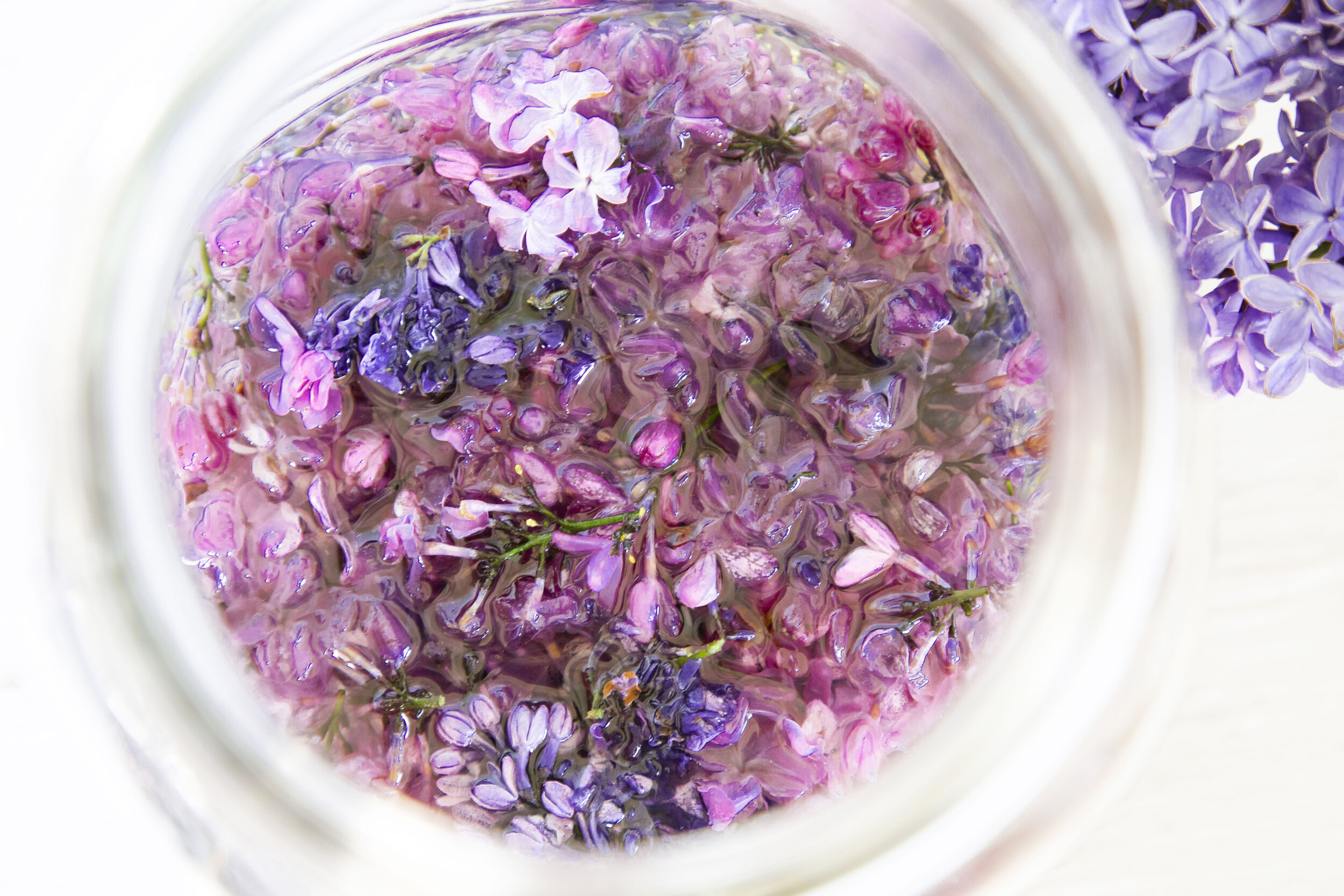 lilac_oil_781A7716.jpg