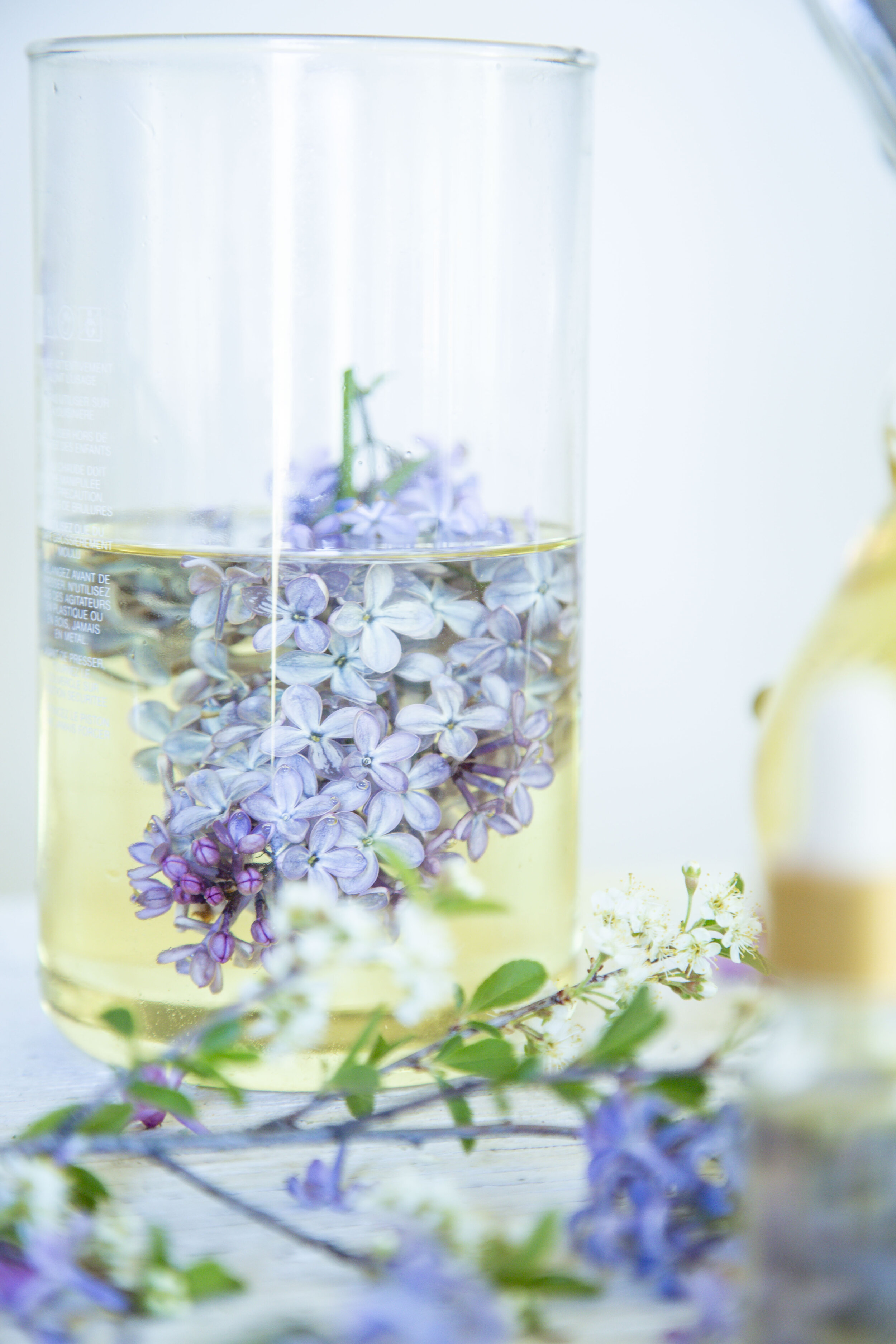 lilac_oil_781A7917 (2).jpg