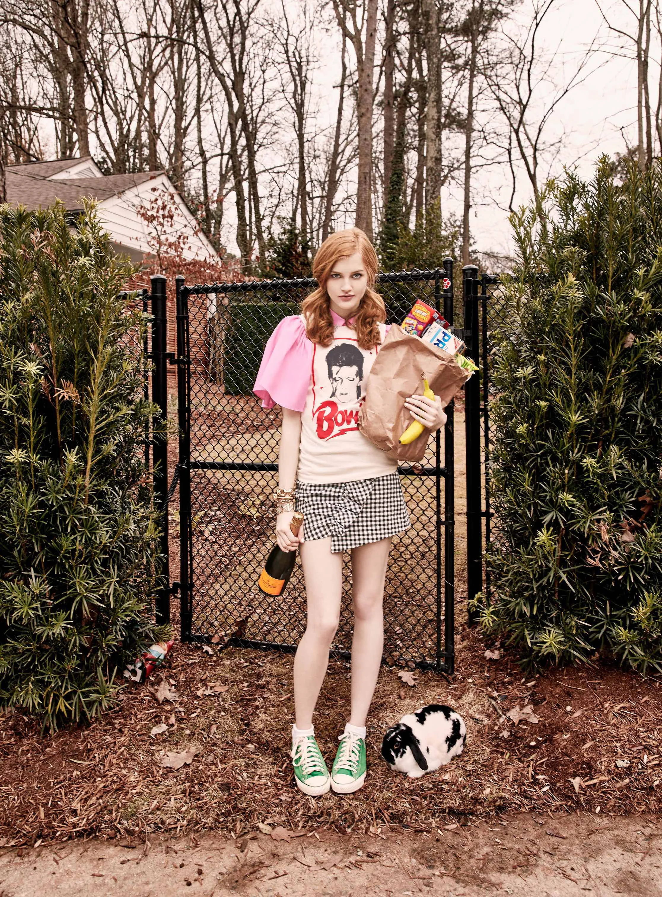 LVH-Bunny-Briggs-web.jpg