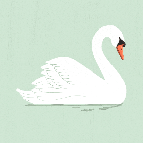 Le-Swan-odessa-coleman.gif