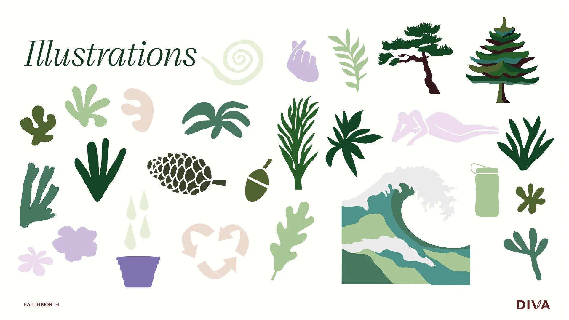 Diva illustrations 2.jpg