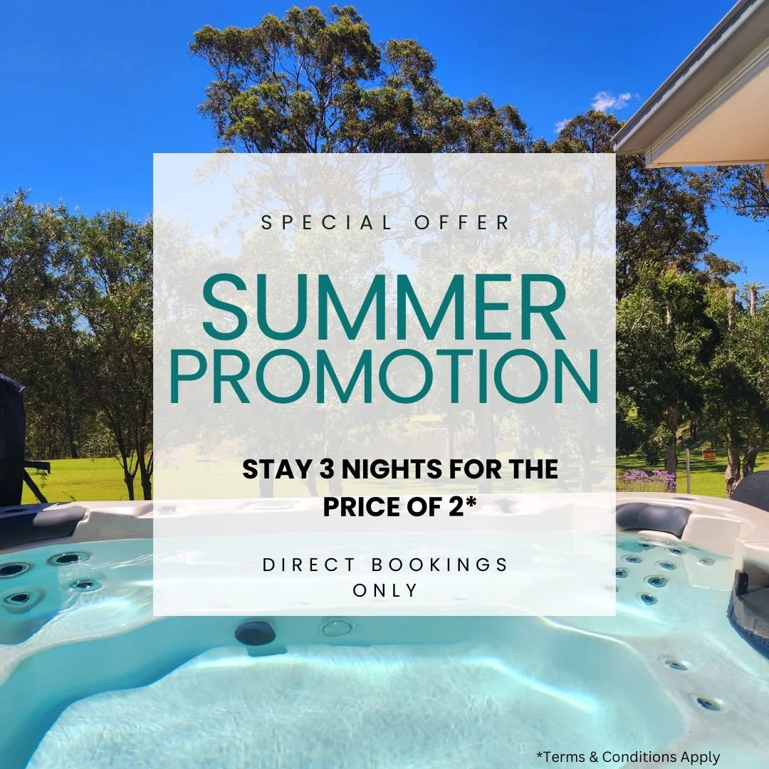 Summer special offer.jpg