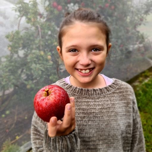 Bilpin apple picking