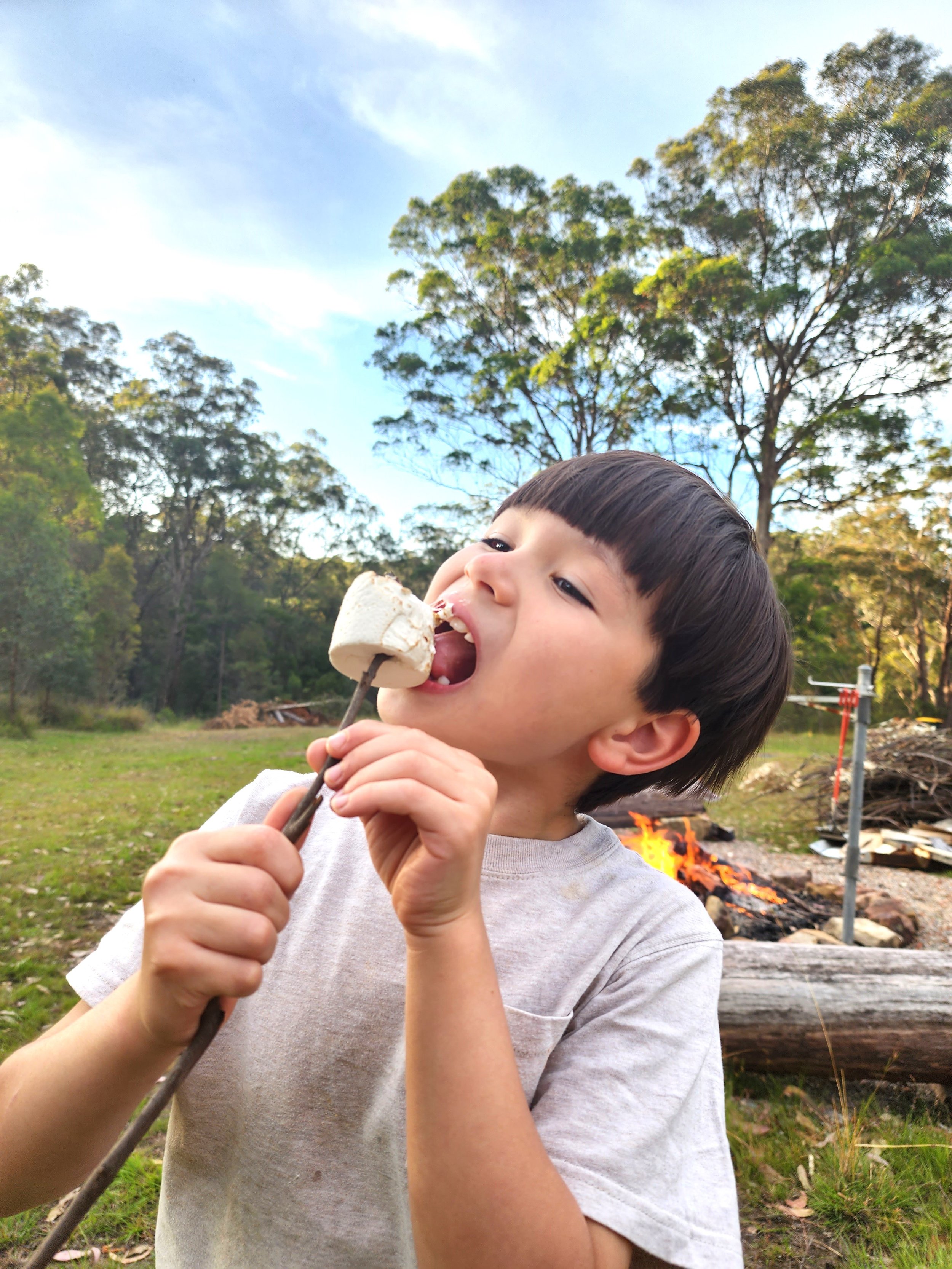 Campfire marshmallows.jpg