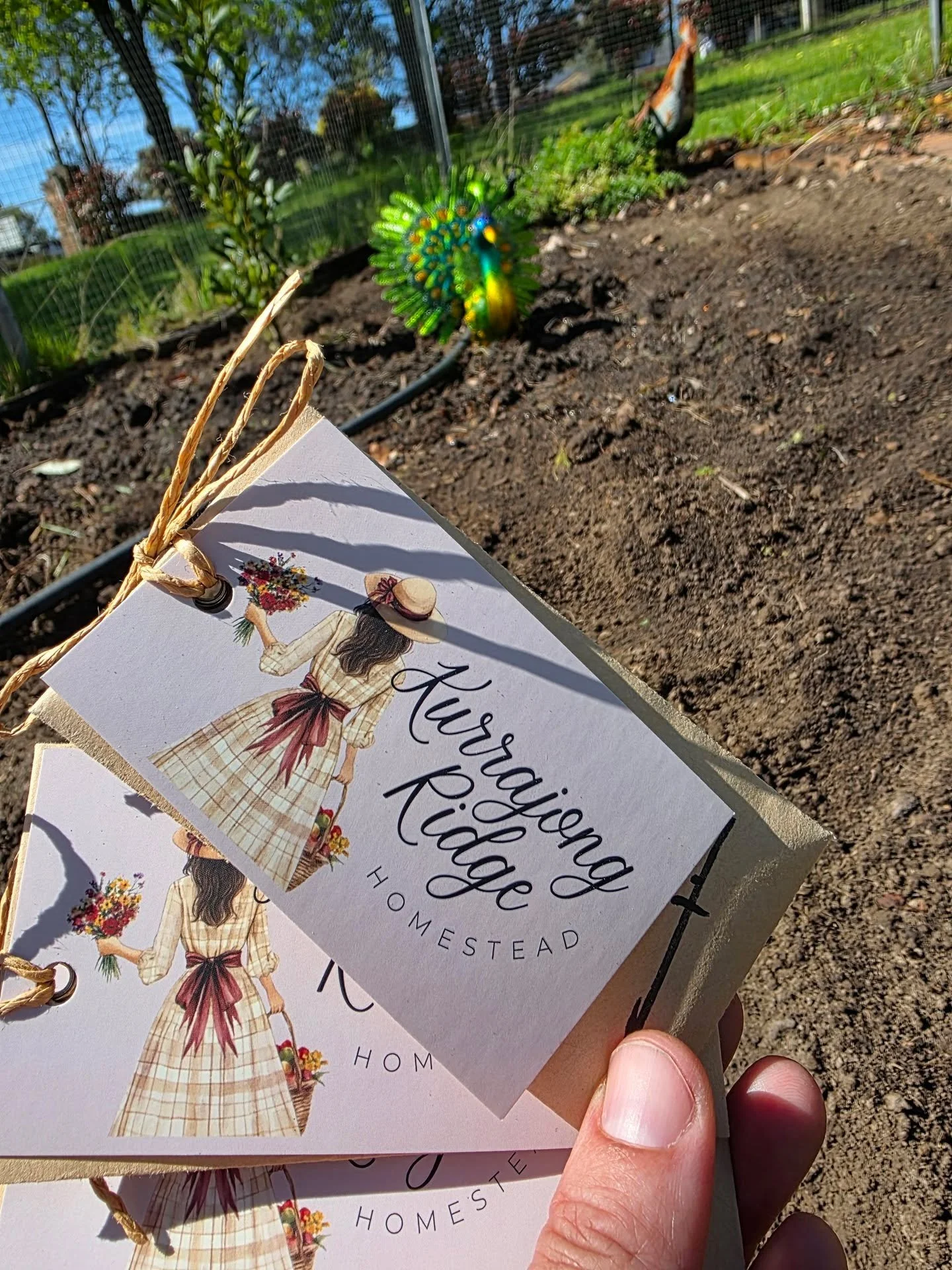 🌻 We’re embracing Spring at @didosplace! 🌽
Our veggie patch is bursting with life this season! We’ve just planted corn and sunflowers, both big and small, and we can’t wait to see them grow under the Hawkesbury sun.
We love this