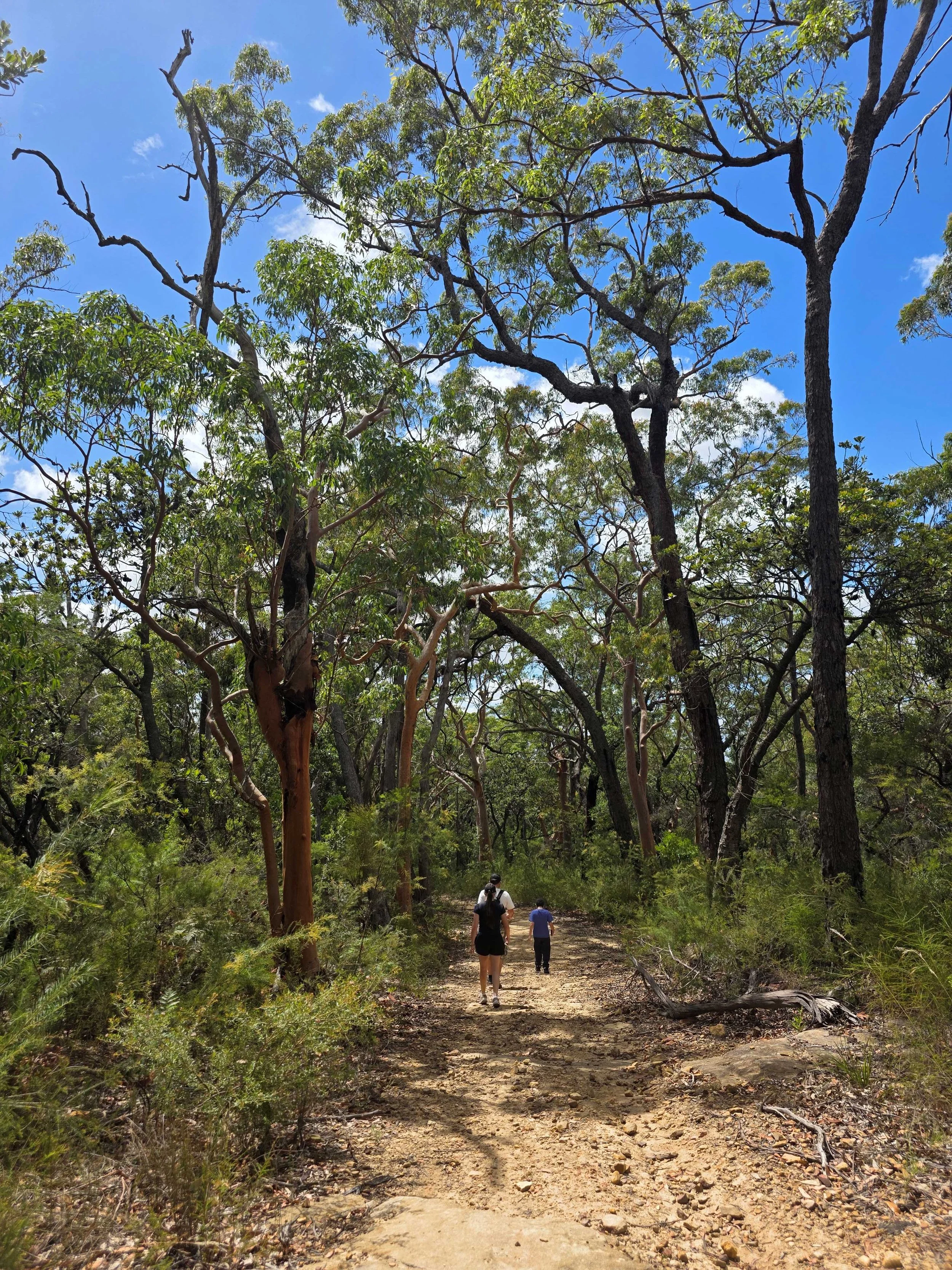 Kid Friendly Bushwalk.jpg