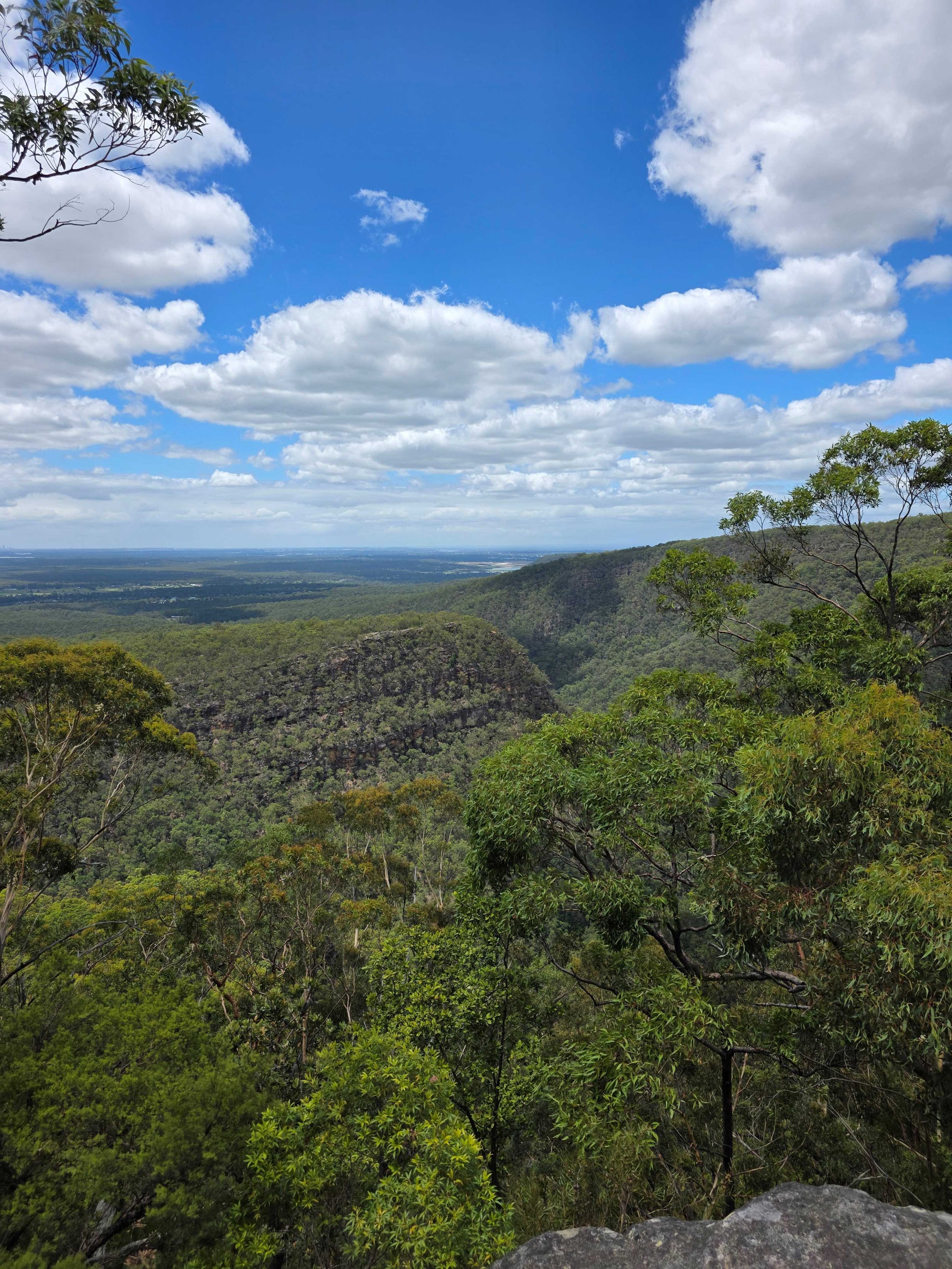 Bowen Mountain view.jpg
