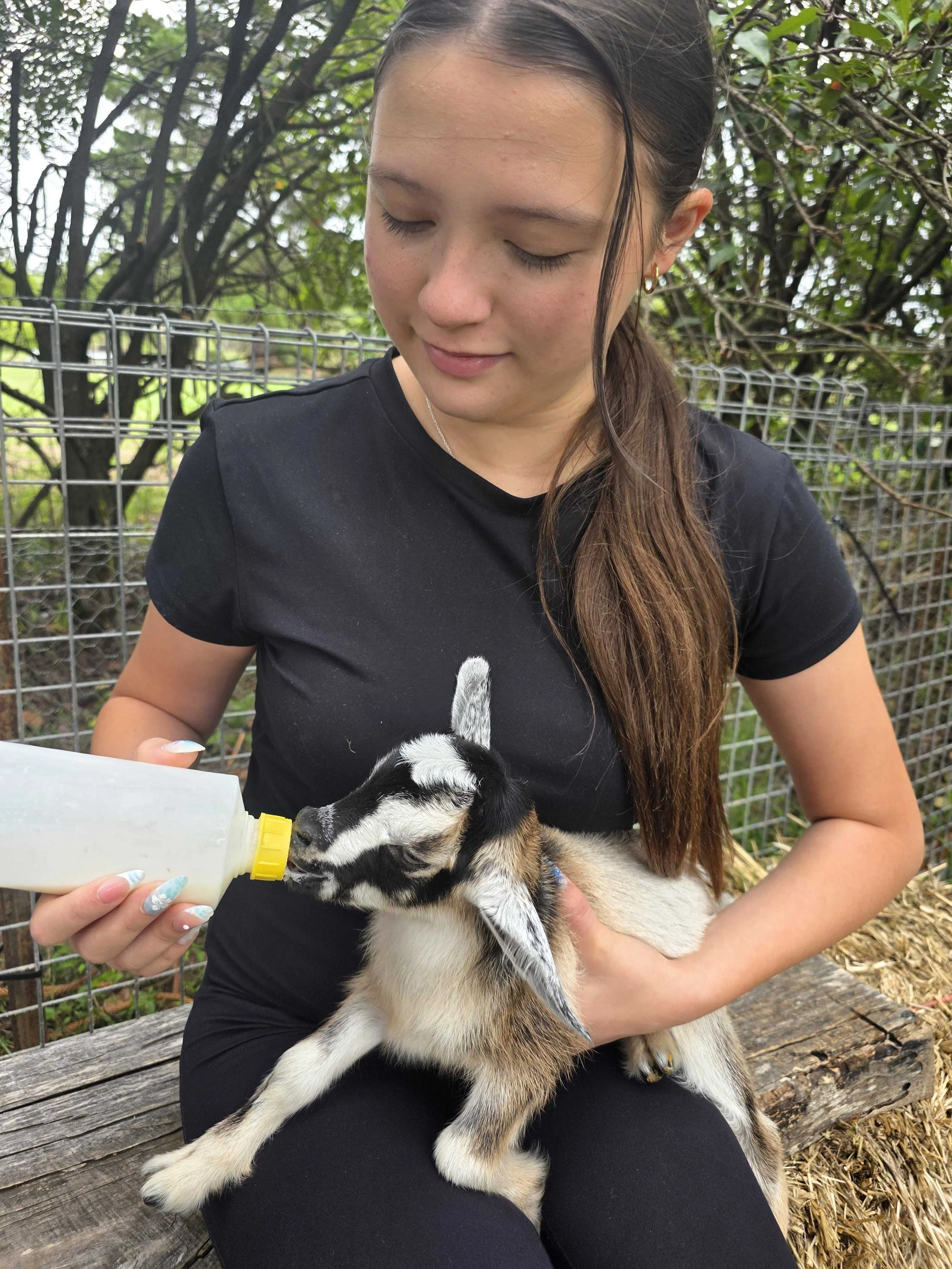 Goat Experience in the Hawkesbury: A Family-Friendly Visit to Marlu Mini Farm