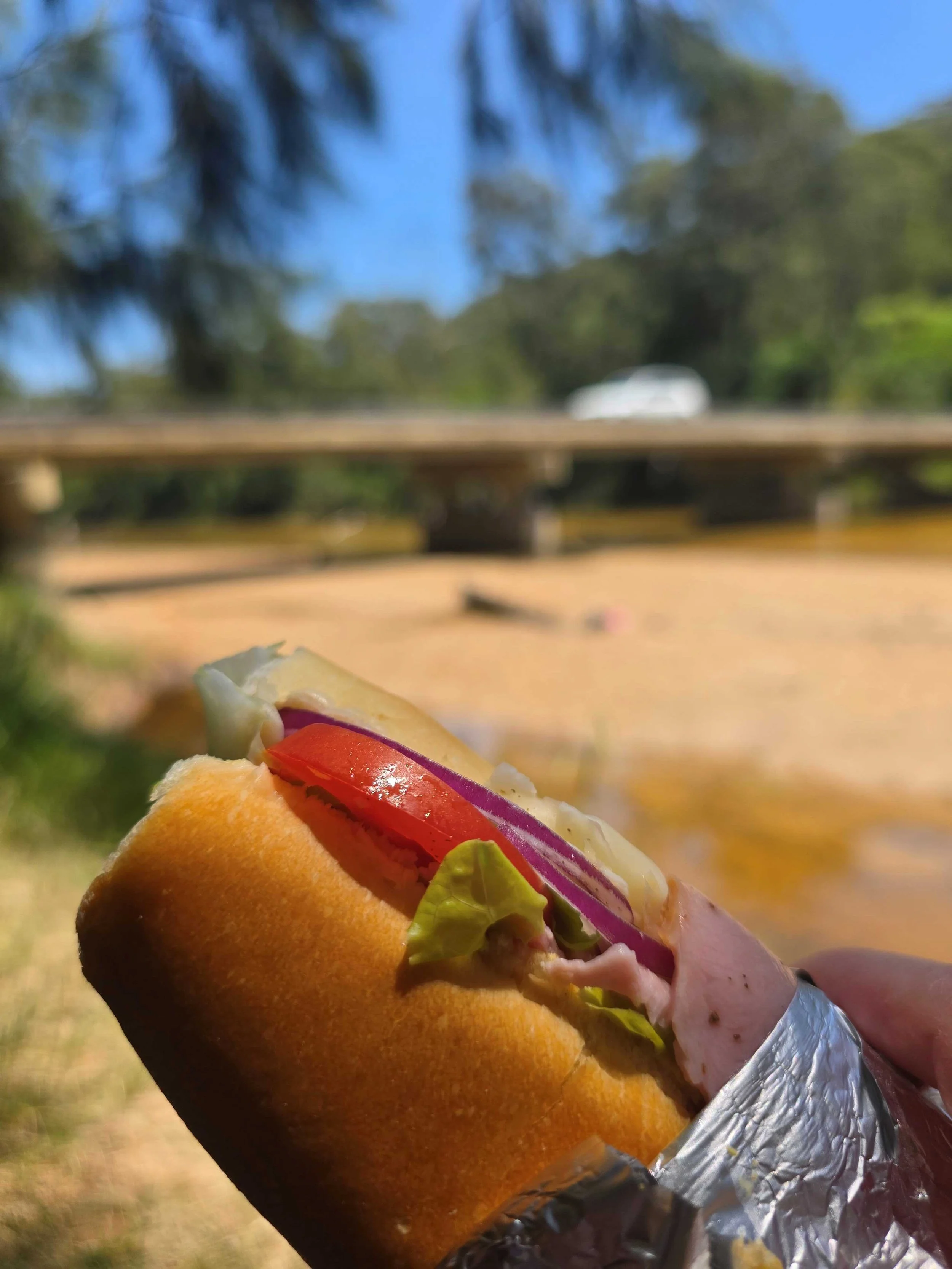 Hawkesbury Picnic.jpg
