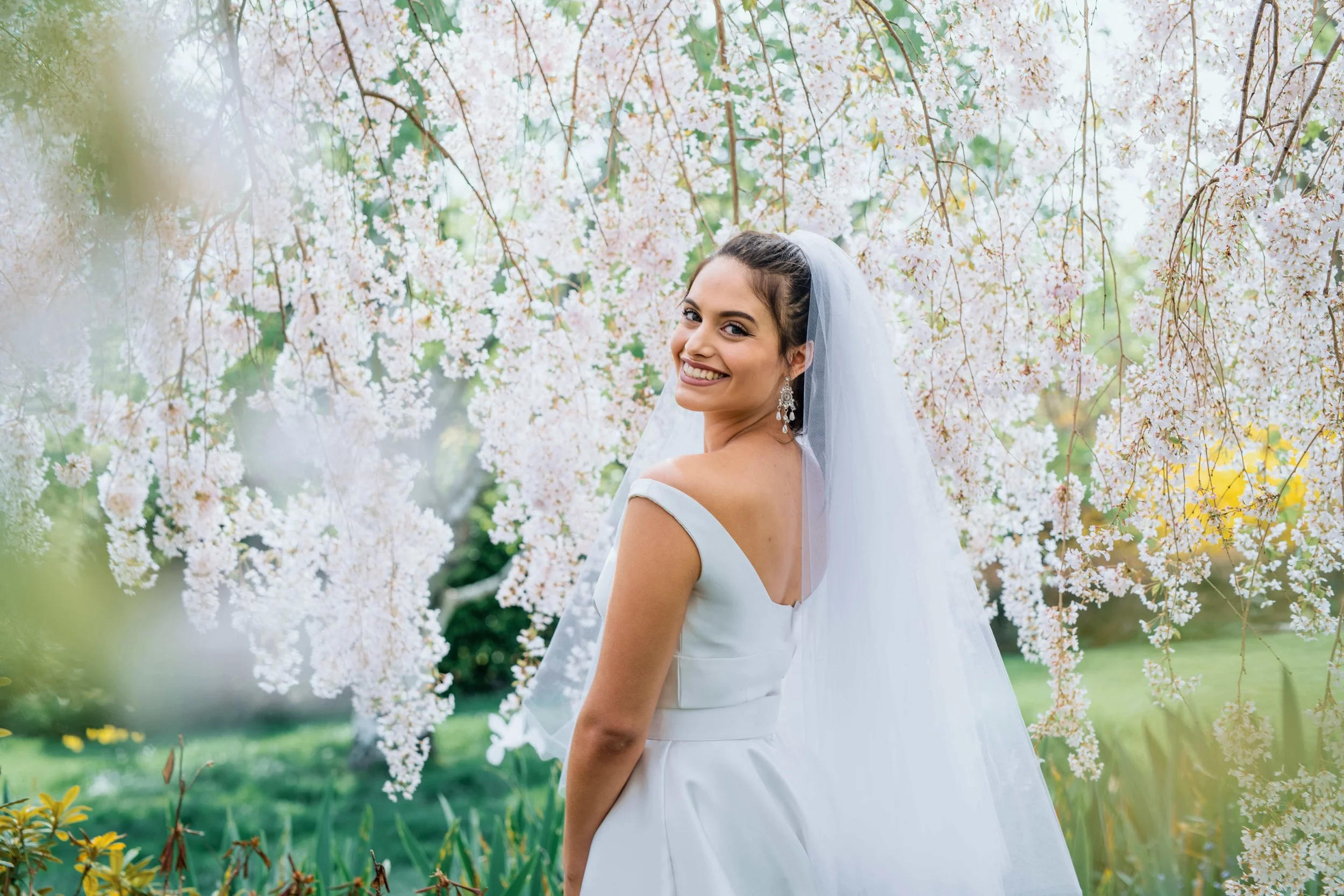 Blue Mountains Botanic Gardens Mt Tomah
