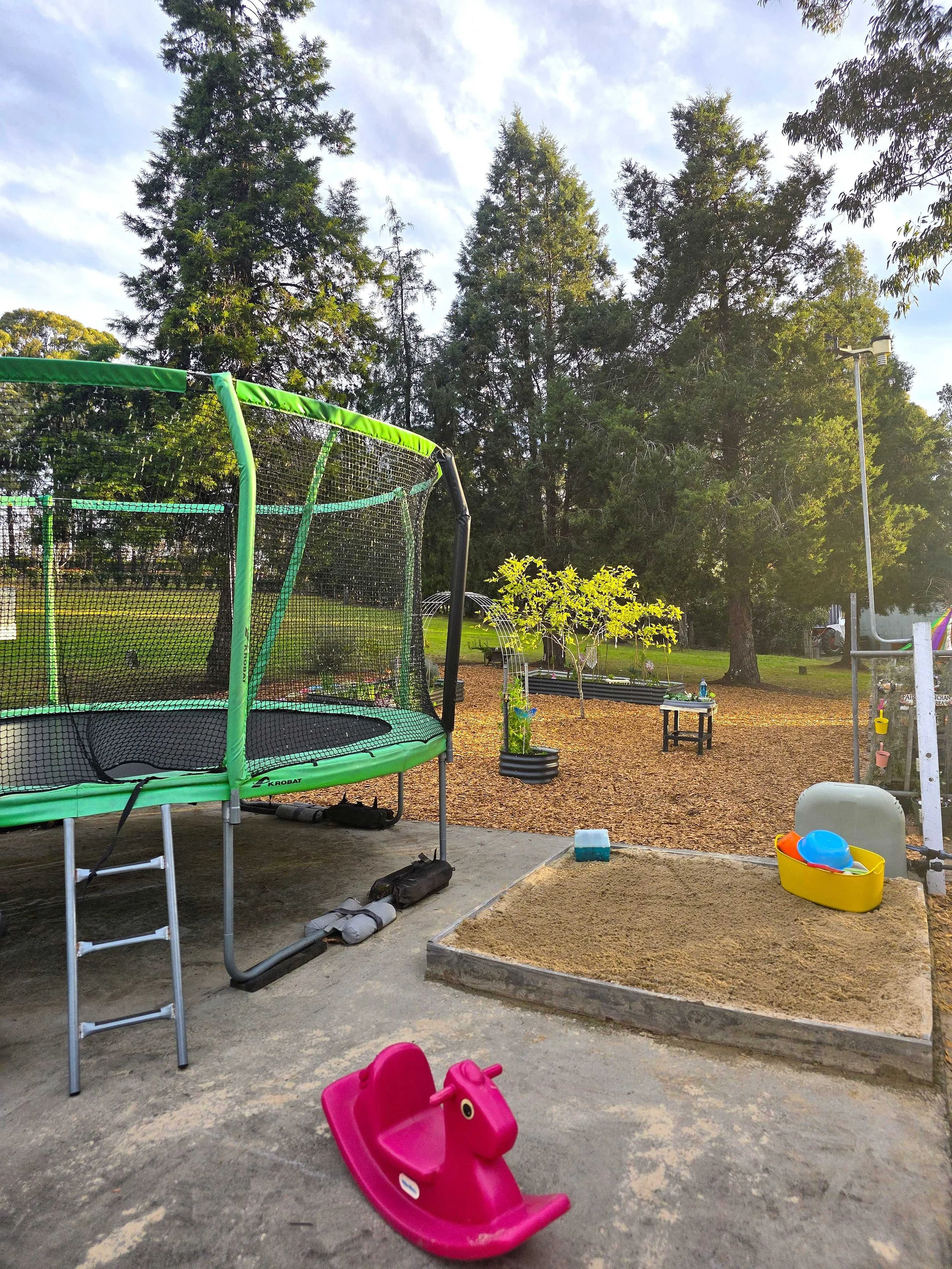 Trampoline new.jpg