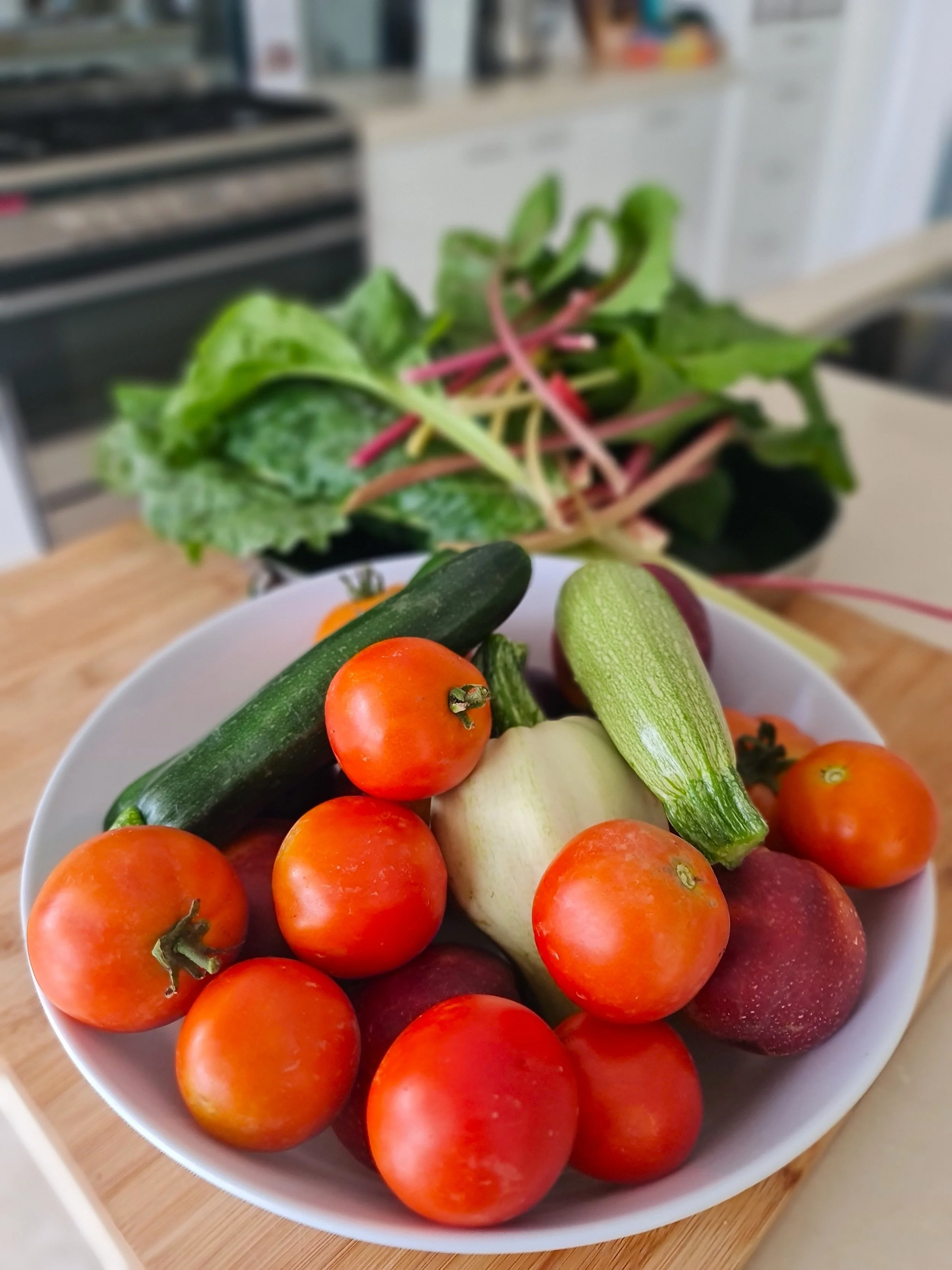 Vegetable garden picking.jpg