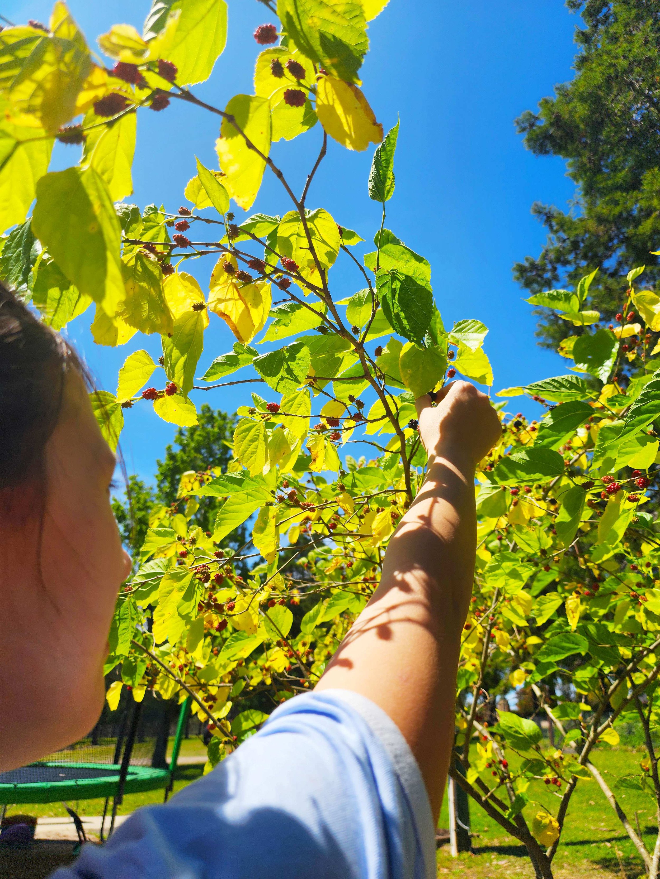 Things to Do with Kids in the Hawkesbury in the Spring School Holidays